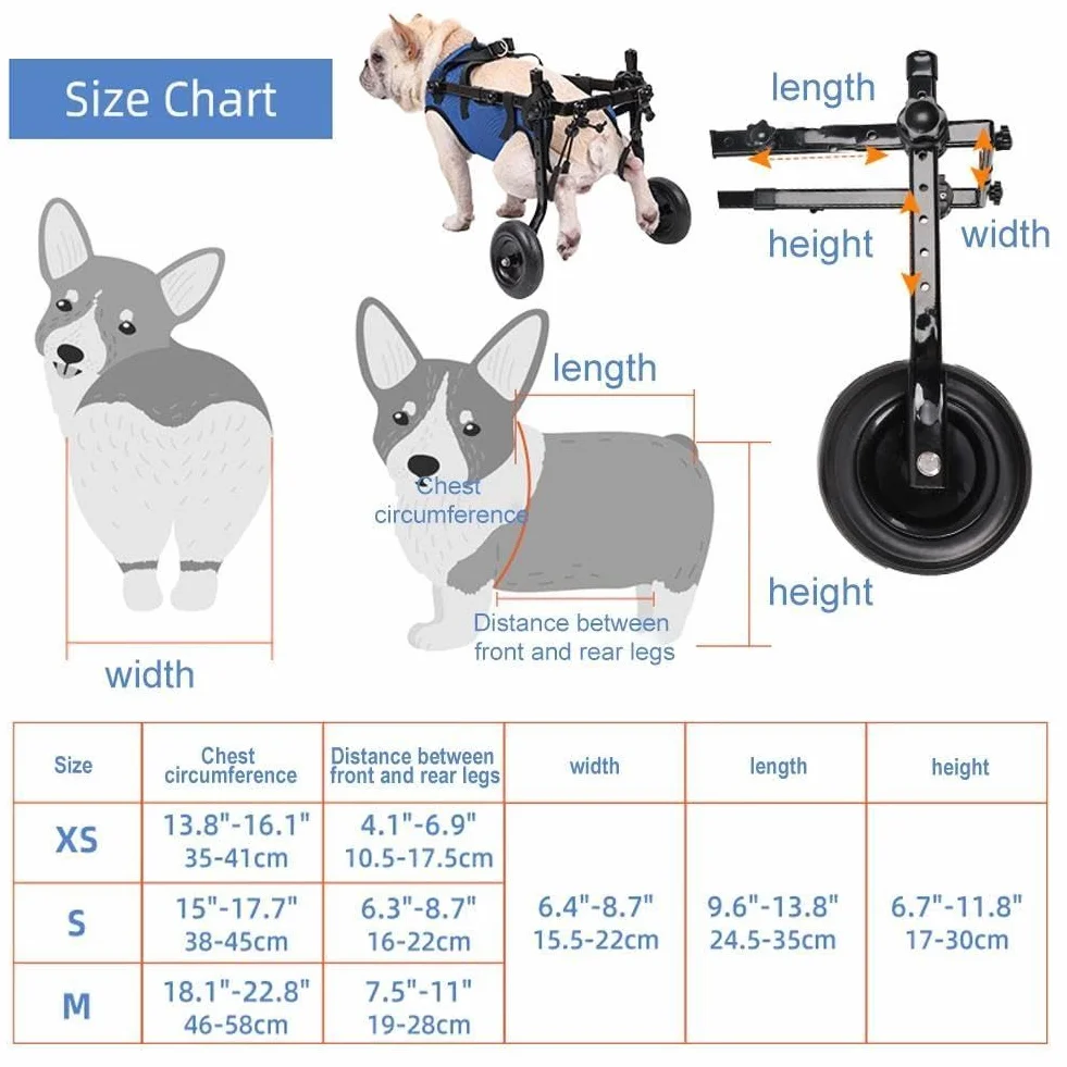 Chariot réglable pour chien handicapé aide mobilité membres postérieurs rééducation