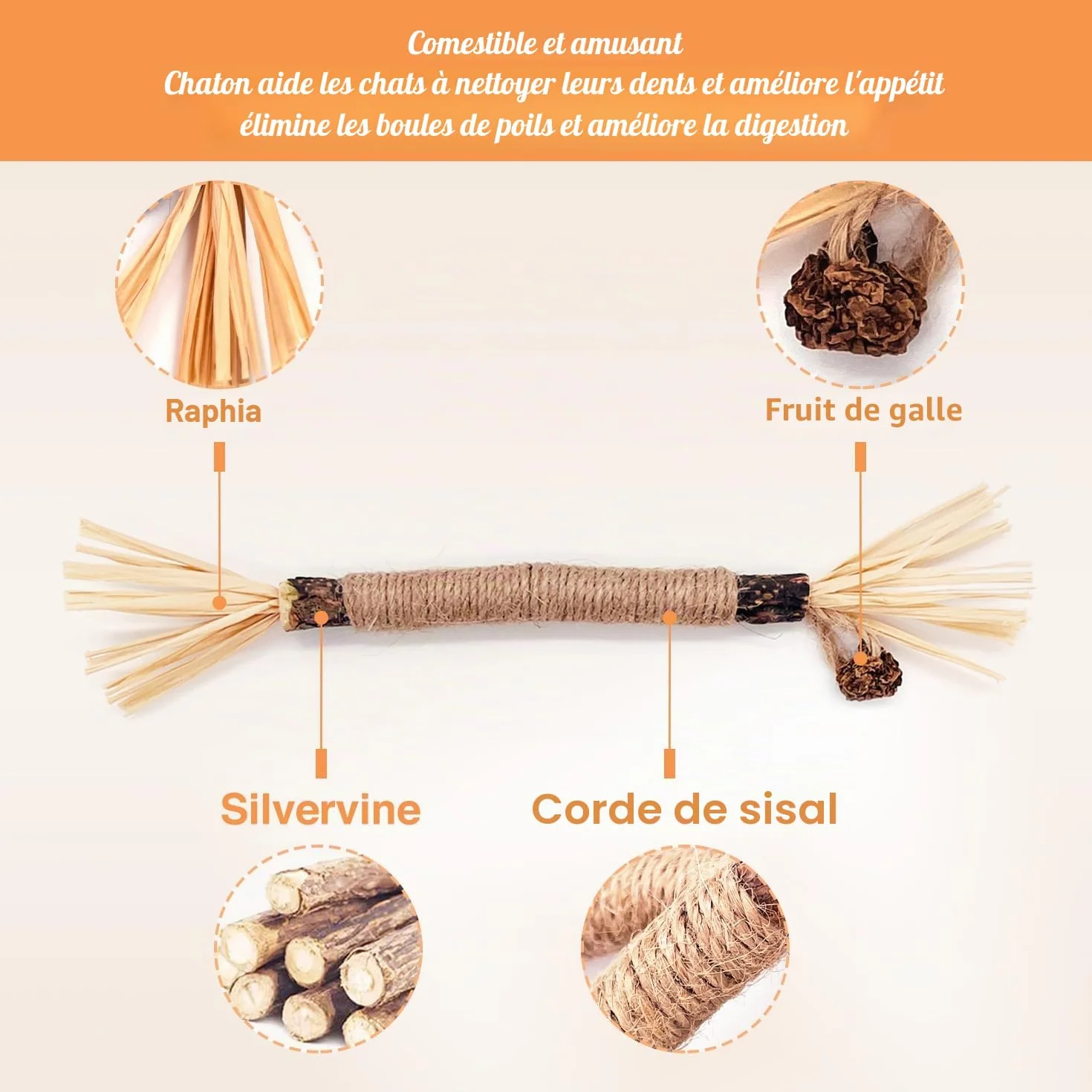 Lot de 6 bâtonnets d'herbe à chat en bois à mâcher pour soins dentaires et mauvaise haleine