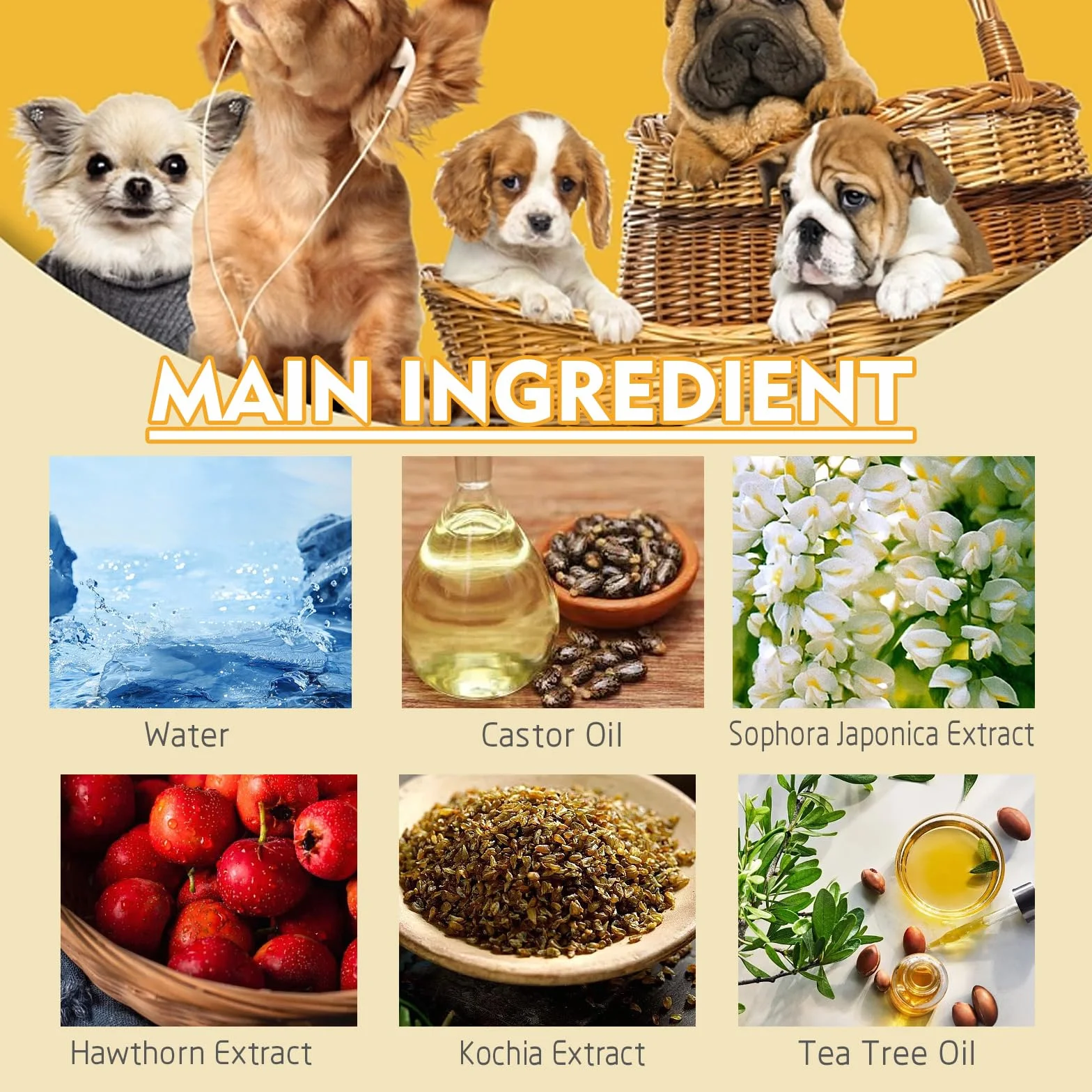 Éliminateur de Verrues pour Chiens, Dissolvant Naturel, Traitement Efficace, 20 ml