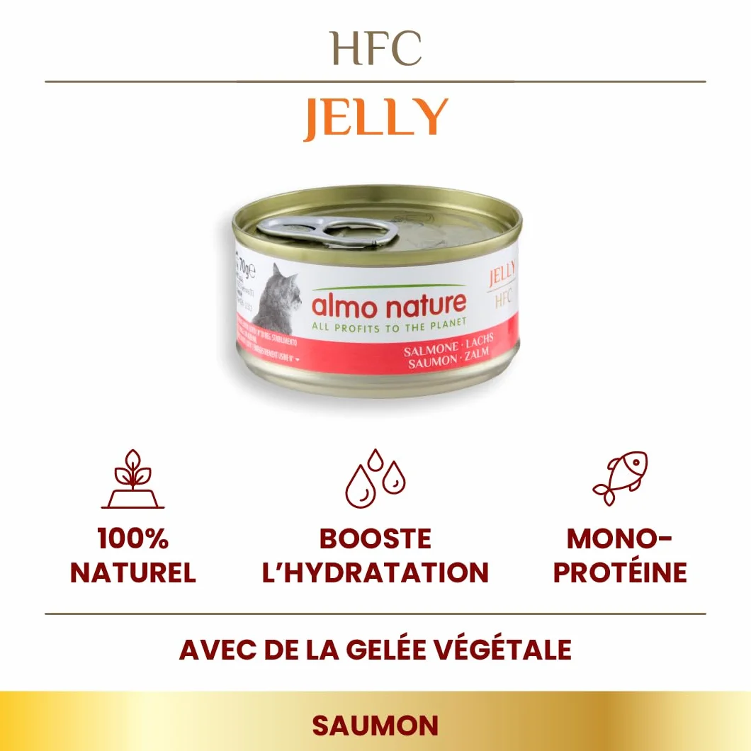 Almo Nature HFC Jelly Nourriture Humide pour Chats Saumon 70g Lot de 6