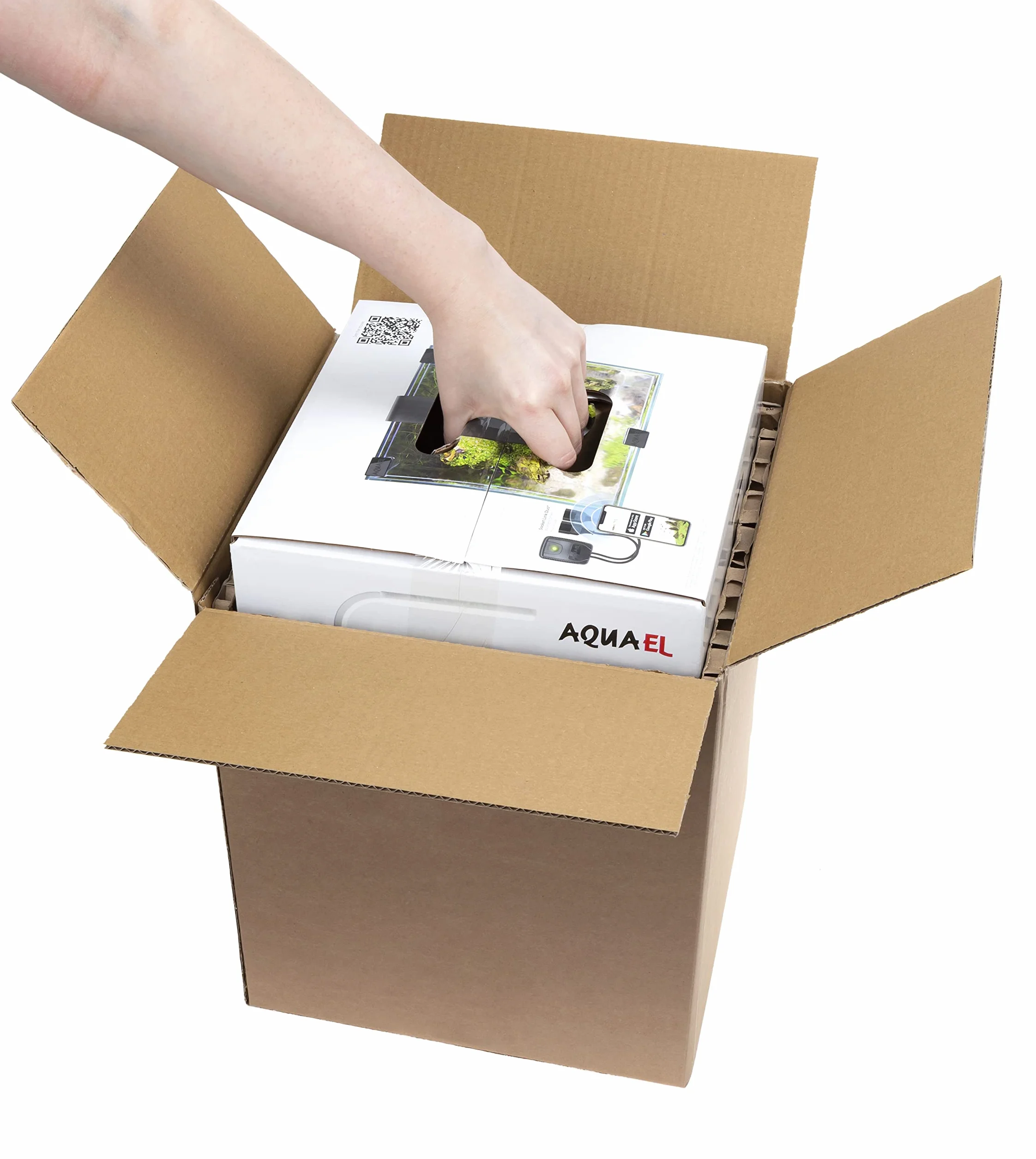 Shrimp Smart D&N 20 ECOM Set de Shrimp Blanc