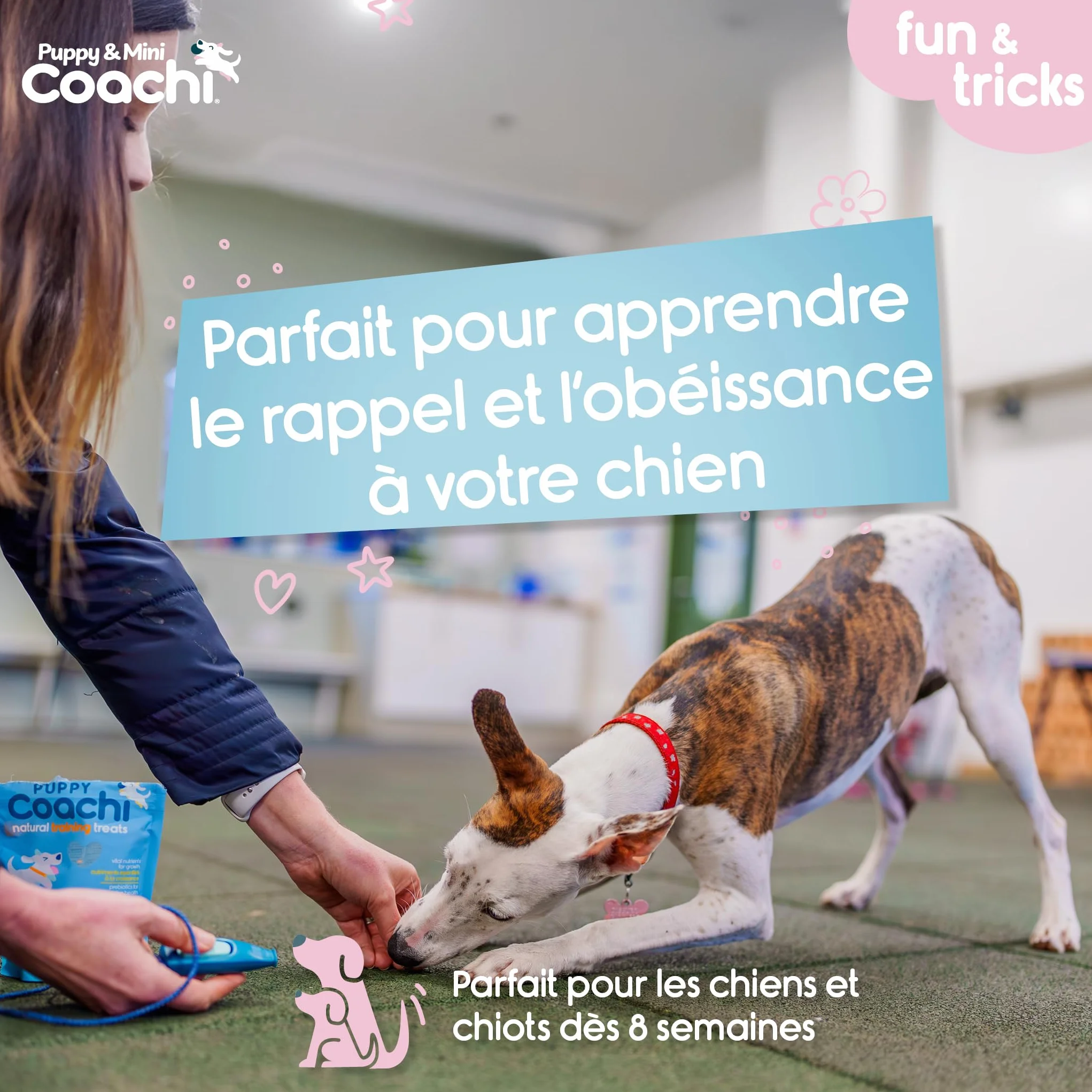 Sifflet et clicker combinés 2-en-1 pour chien, éducation rappel et récompense, cordon réglable réfléchissant