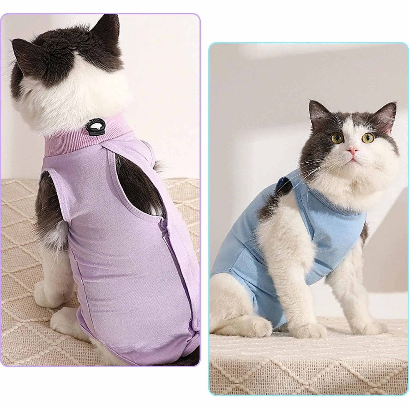 Gilet de Récupération pour Chat Post-Opératoire Anti-Léchage, Combinaison de Stérilisation Violet + Bleu (M)