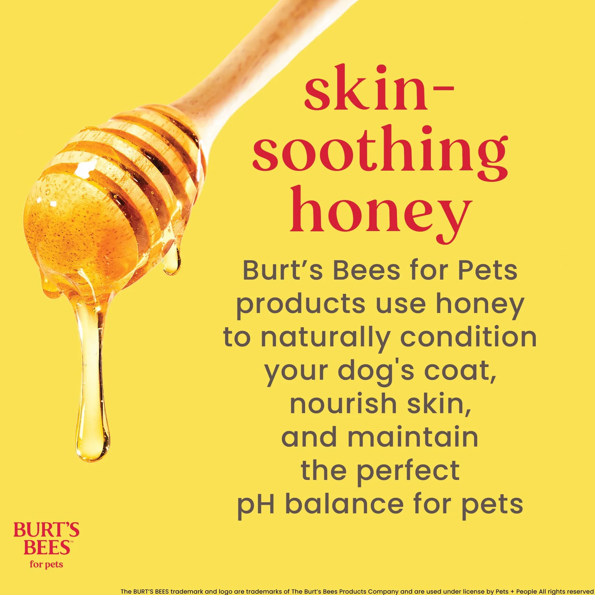 Burt's Bees Shampooing hypoallergénique pour chat Soin naturel