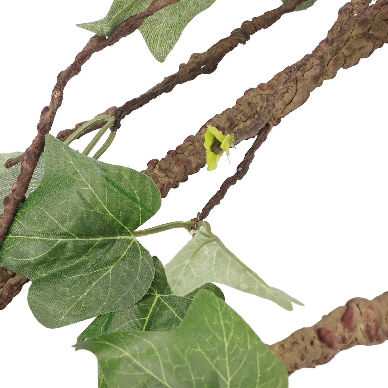 Branches de Reptiles, Vignes de Reptiles avec Ventouses, Branche d'angle de Reptile, Décoration de Plantes de Terrarium, Plantes de Reptiles pour Amphibiens, Lézards, Serpent,