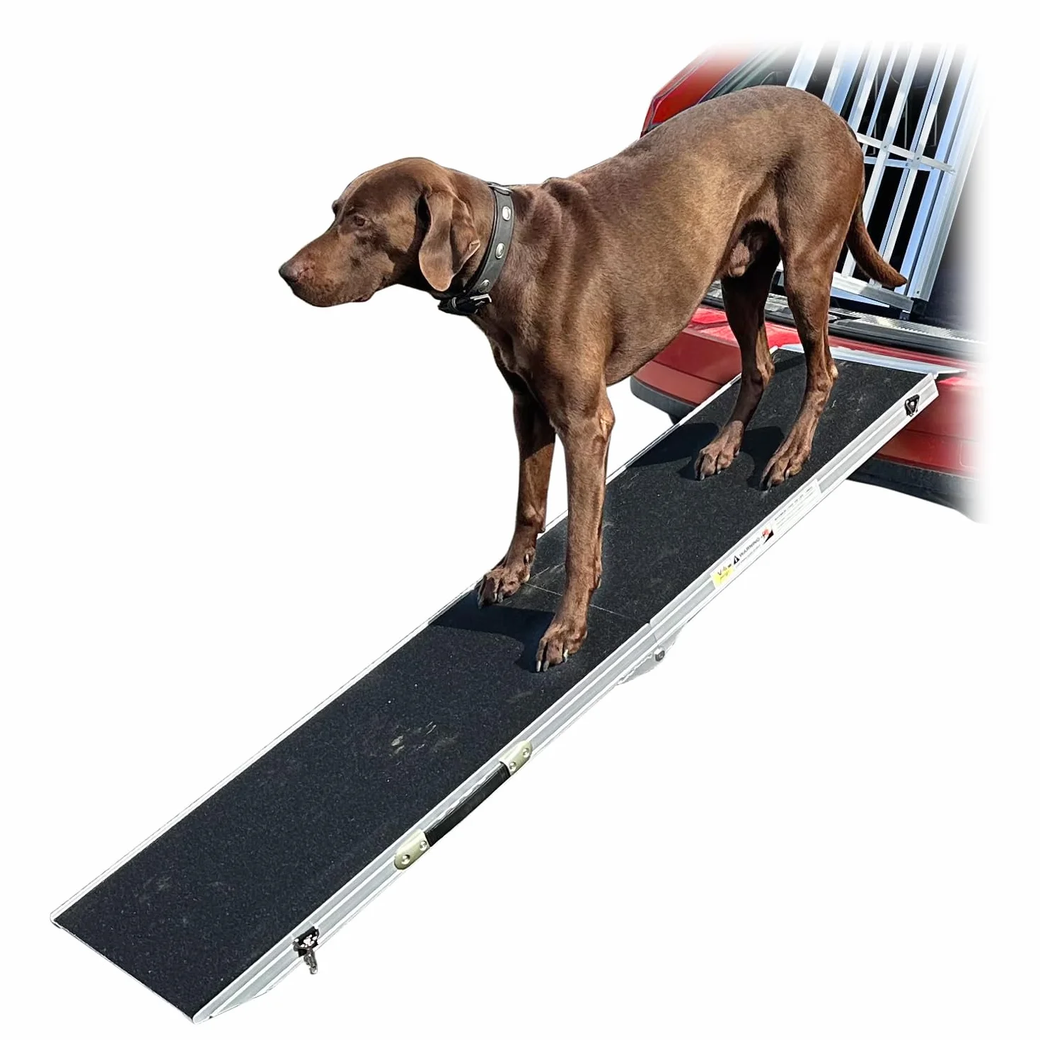 Petigi Rampe de Chien Escalier Animal Aluminium 4 Tailles Voiture Automobile Maison