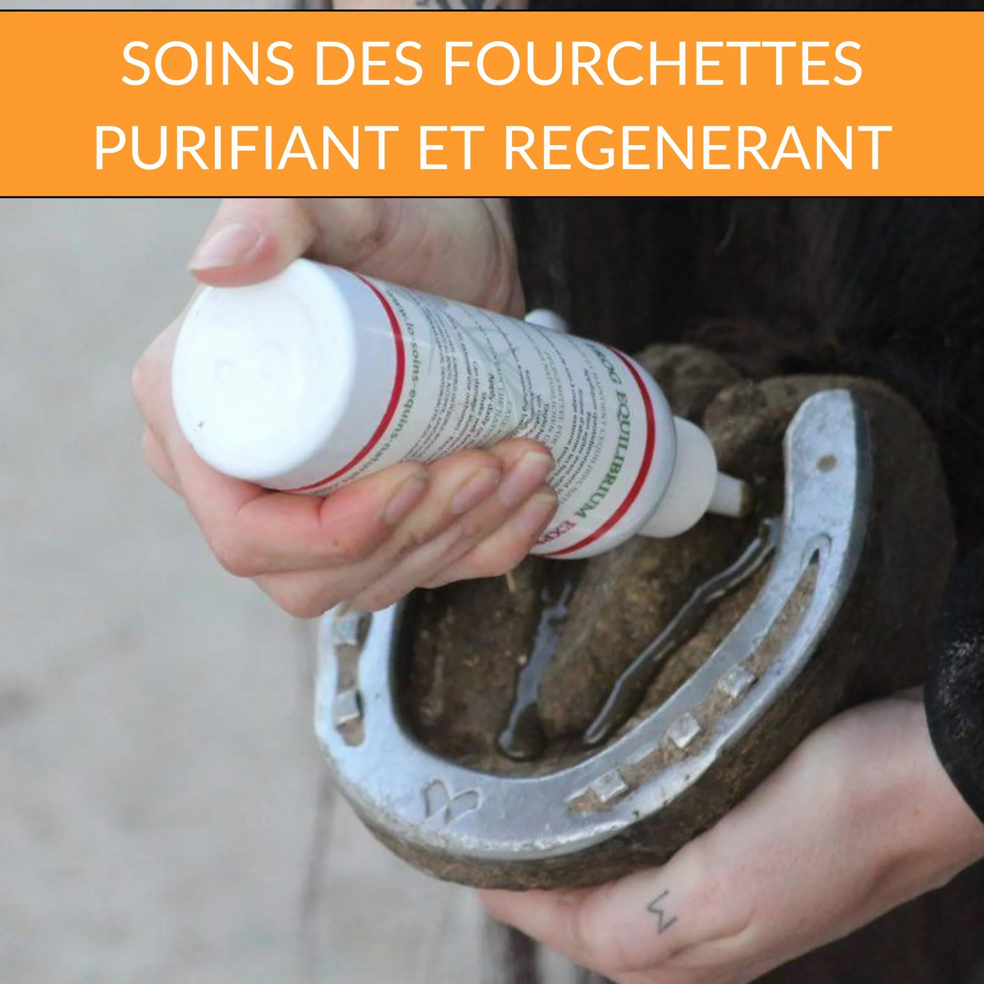 Frog Equilibrium Express - Soin Naturel réparateur et Protecteur des fourchettes pour Cheval - Retour Rapide à l'état physiologique (125 ML)
