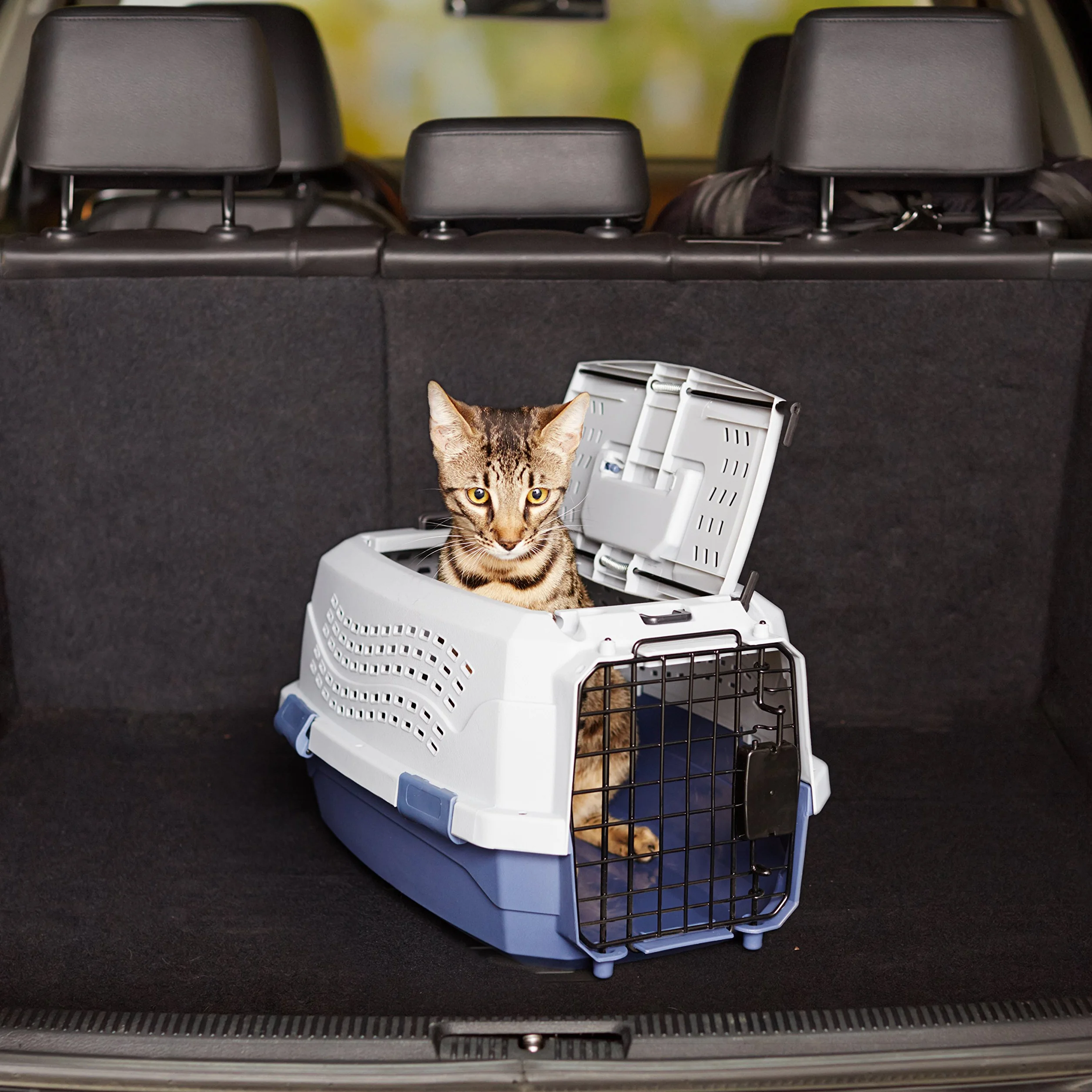 Amazon Basics Caisse de transport pour Chat 2 portes Bleu L 48 x 32 x 25 cm