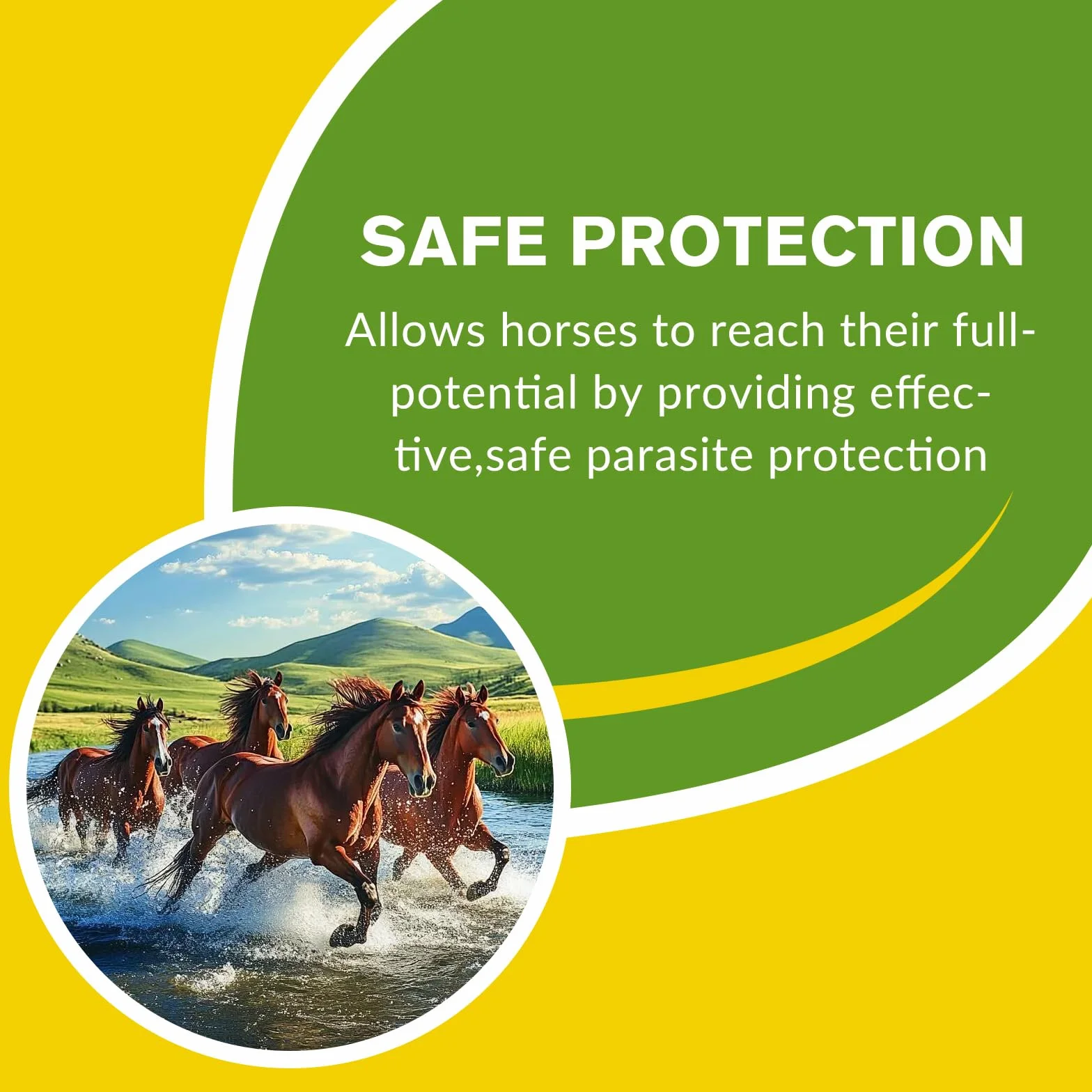 Lot de 6 gels pour chevaux 1,87 % saveur de pomme pour chevaux jusqu'à 567 kg