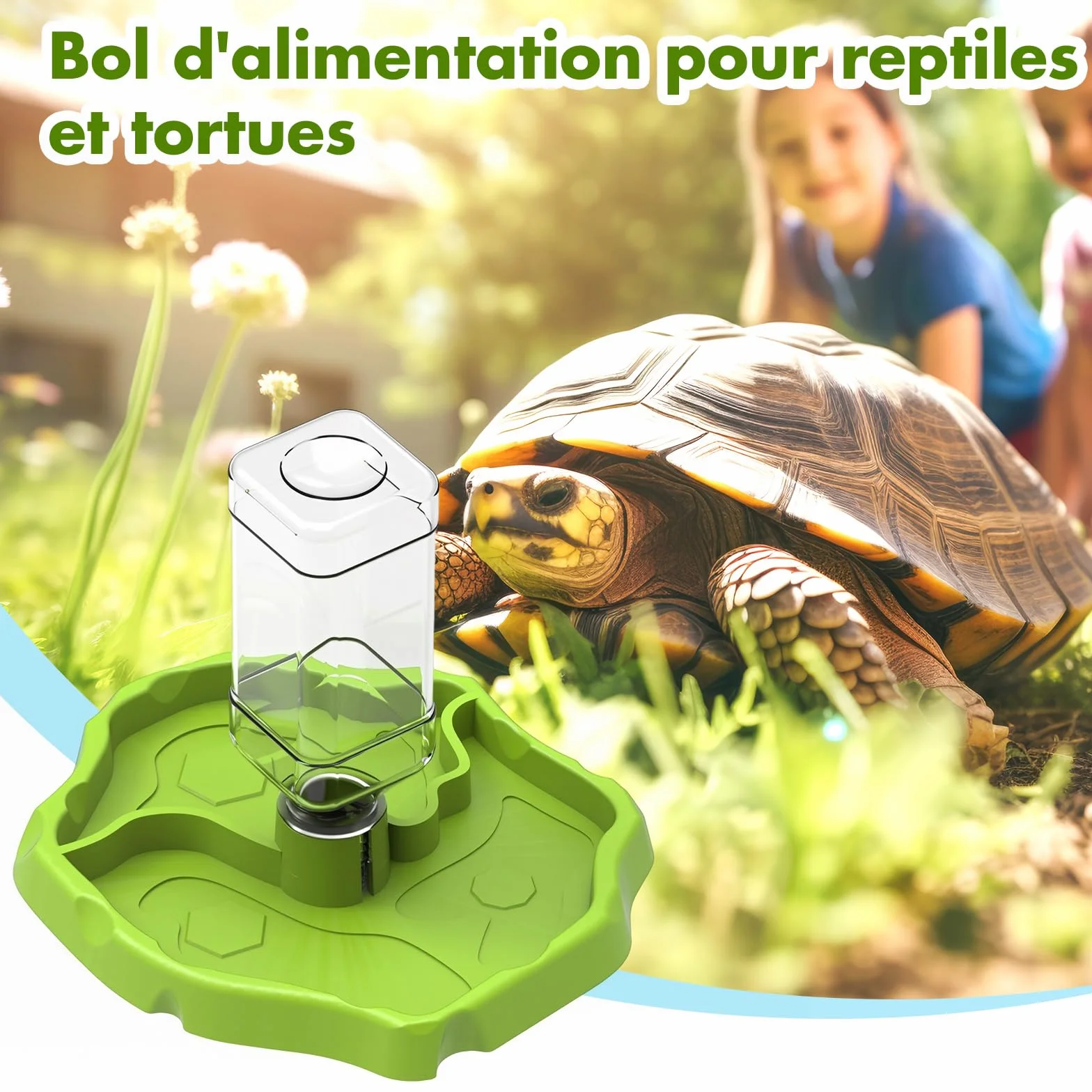 Sharplace Mangeoire pour Reptiles et Accessoires d'aquarium Conteneur Polyvalent Herbe Verte
