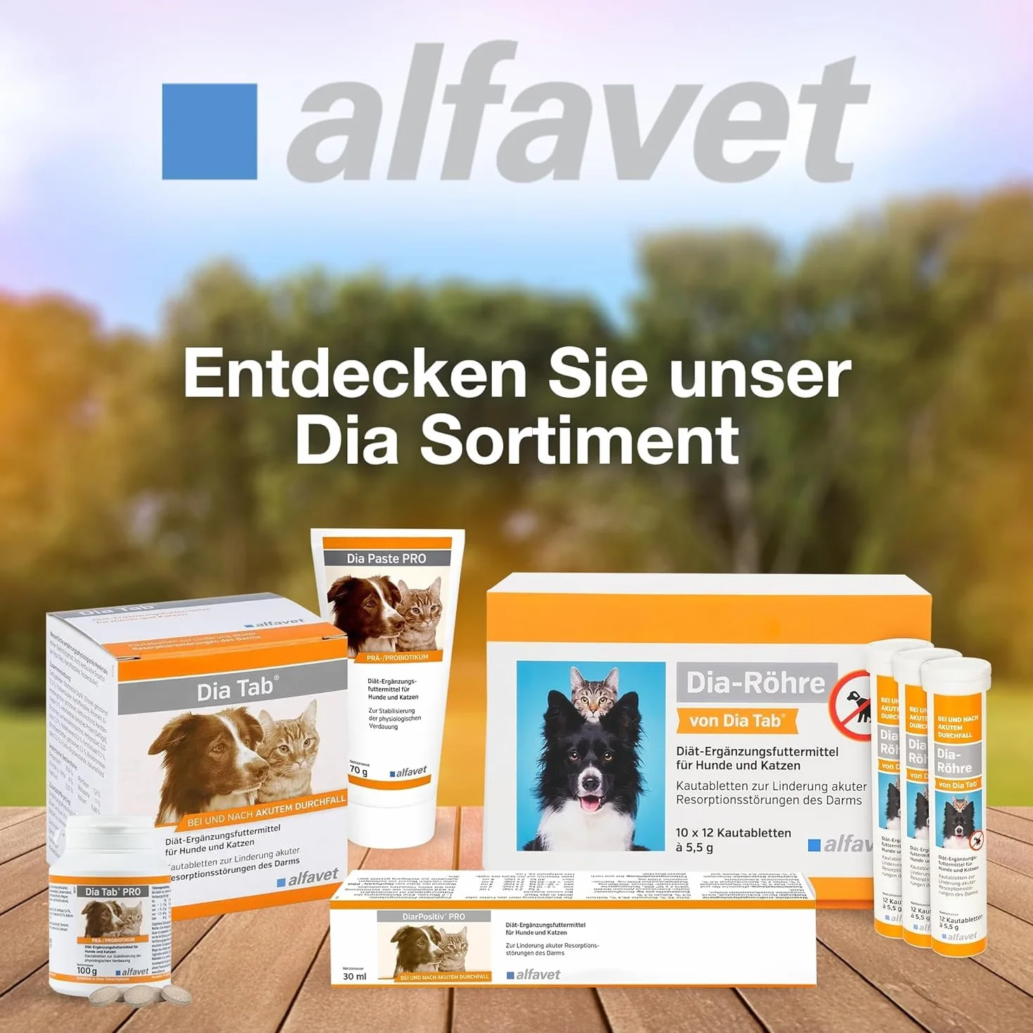 alfavet Dia Tab complément alimentaire diététique pour chiens et chats comprimés à mâcher diarrhée vomissements 6 x 5,5 g
