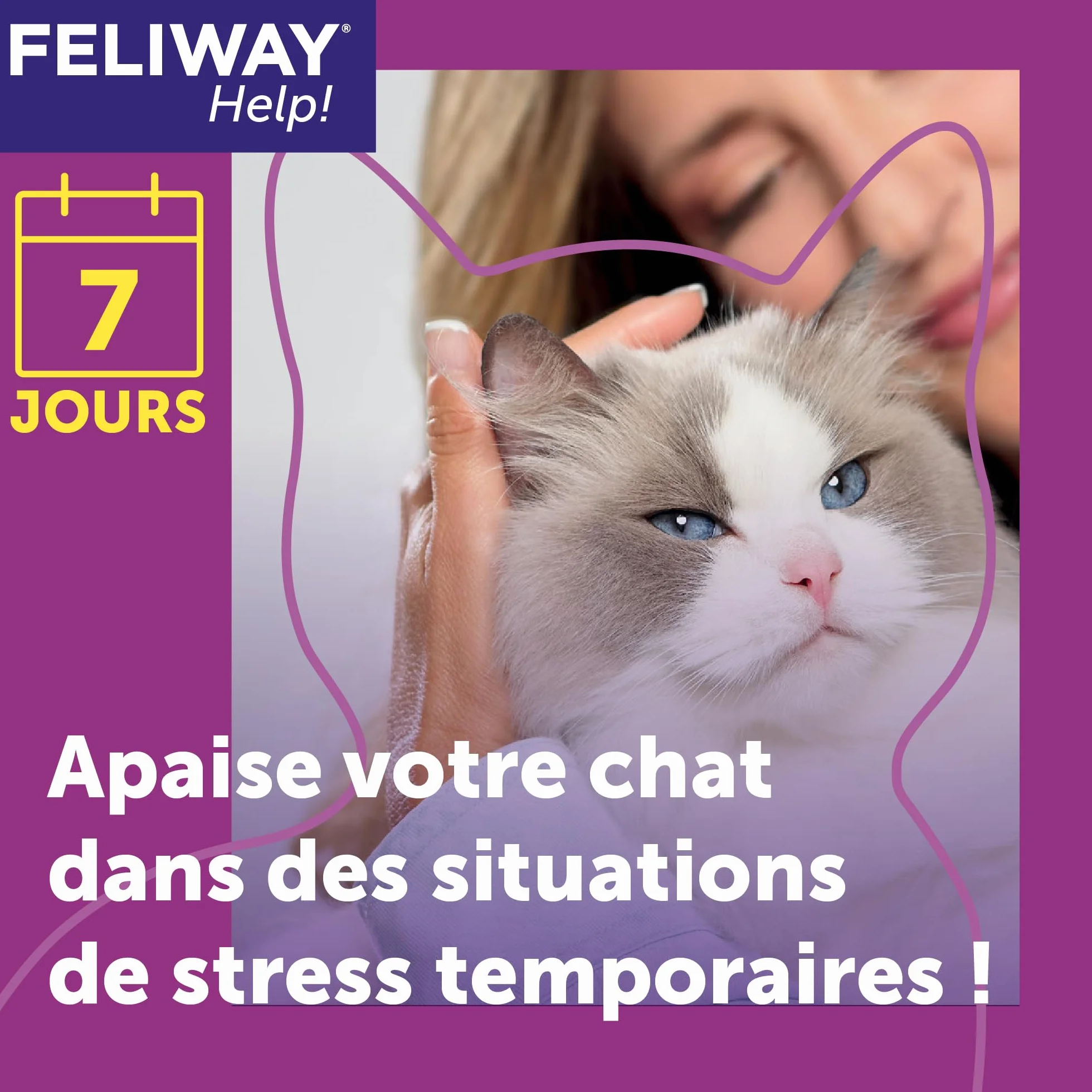 FELIWAY Help! Diffuseur Recharge phéromones apaisantes Chats 7 Jours Calmer Stress ponctuel Recommandé vétérinaires