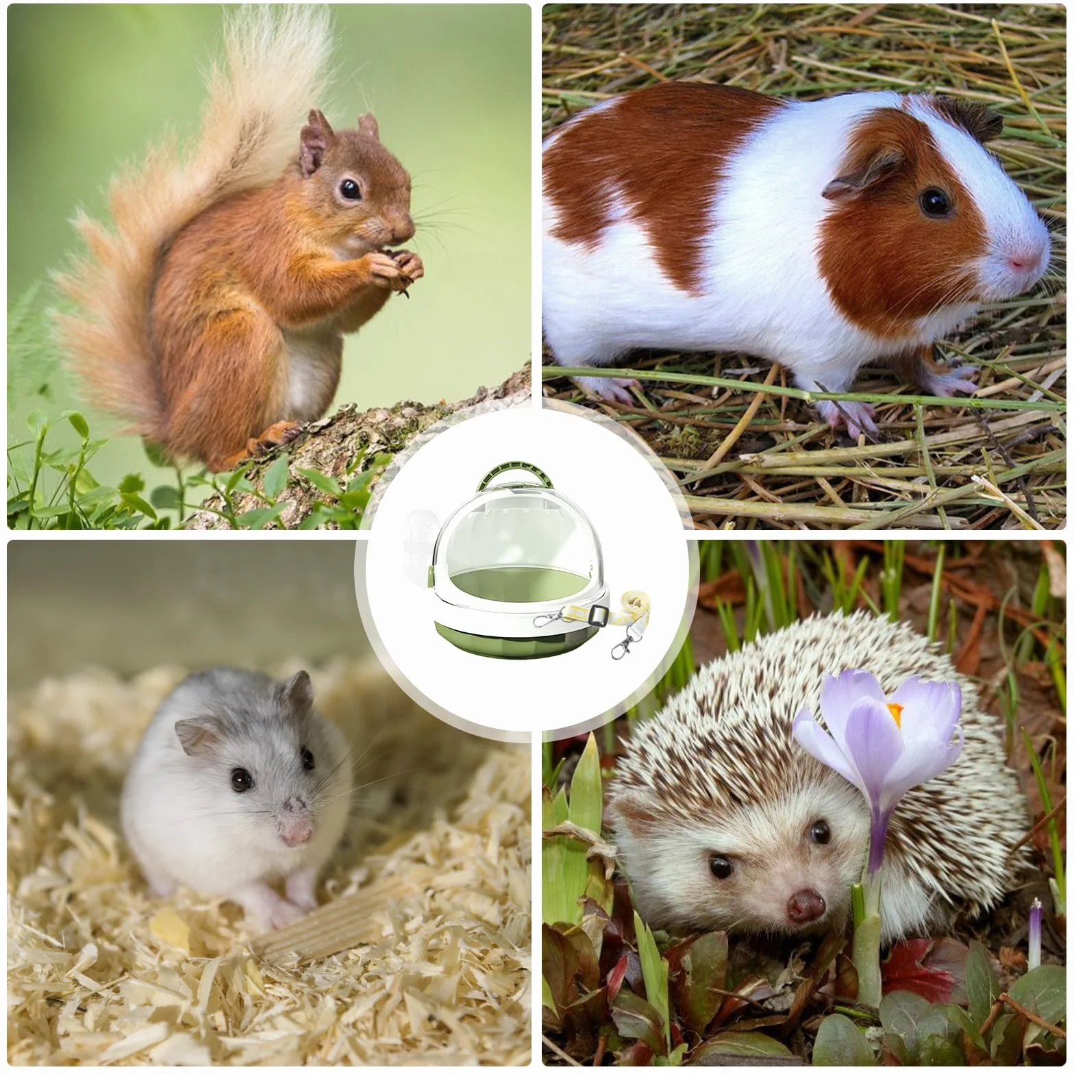 Cage de transport portable pour hamster 18,6 x 18,6 x 16 cm avec bouteille d'eau