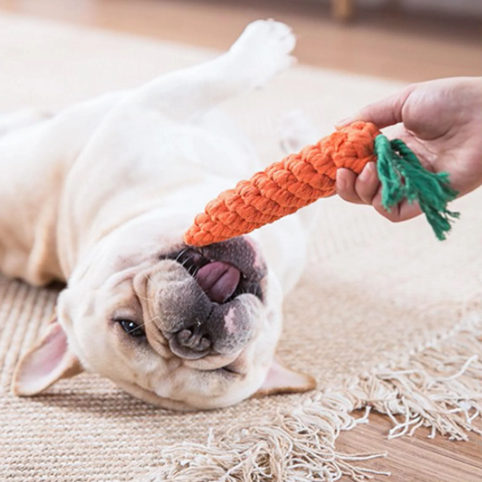 Frasheng Ensemble de Jouets pour Chien 18 Pièces, Corde à Mâcher Durable, Jouet Interactif, Peluche, Balle, Coton Naturel pour Petit et Moyen Chien