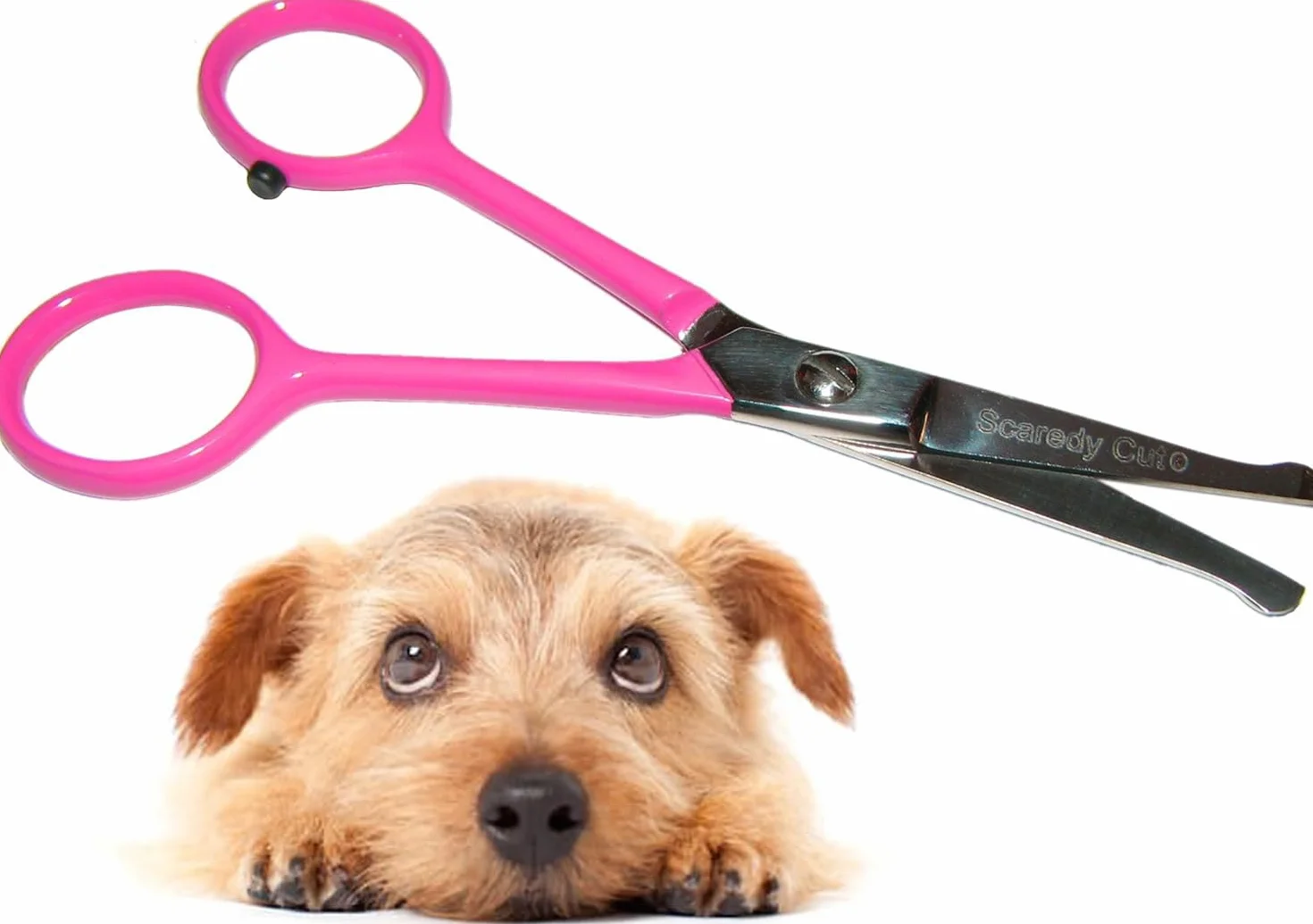 Tiny Trim Ciseaux de toilettage 11,4 cm Oreille Nez Visage Patte Chats Chiens Rose