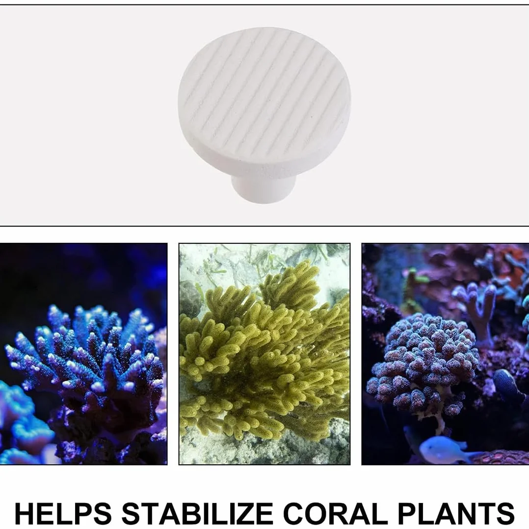10 Pièces Corail Frag Plug Céramique Frag Station Aquarium Récif Base Support 2.3Cm