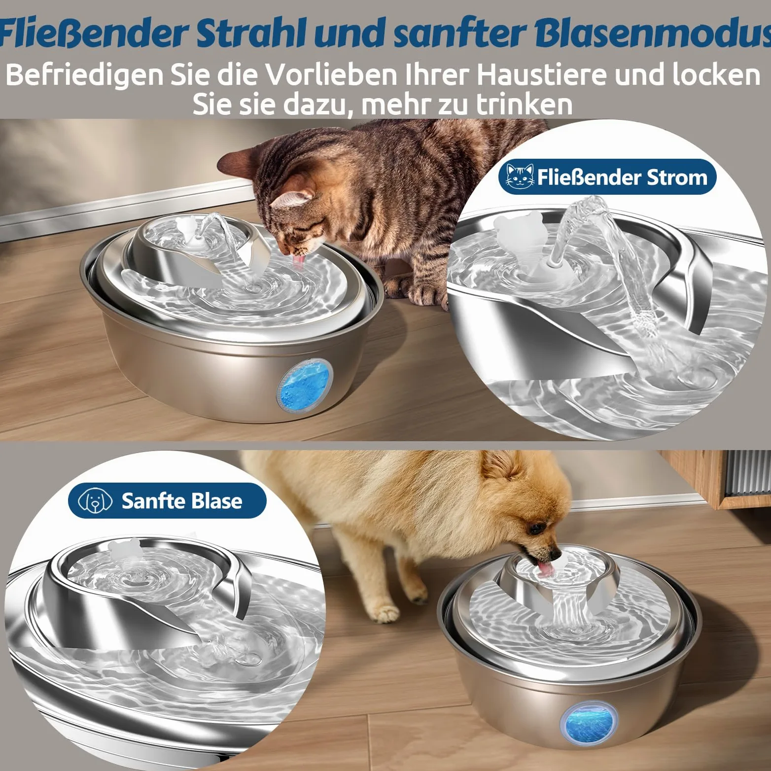GoldenSun Fontaine à eau automatique pour chat - En acier inoxydable - 2 l - 12 filtres à charbon actif - Convient pour toutes les tailles de race (D36)