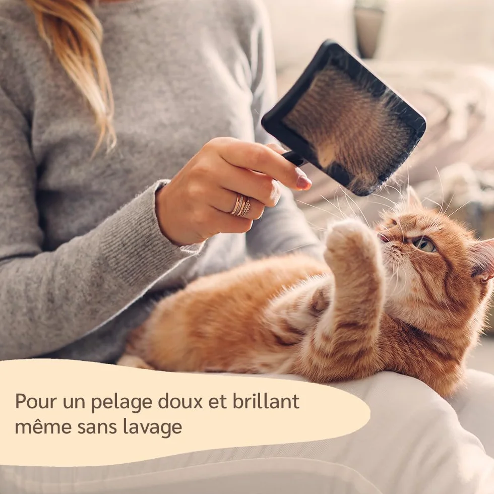 Amusi Spray Démêlant pour Chat 250 ml – Démêlant Poils Longs sans Rinçage, Naturel & Végétalien – Pelage Doux et Brillant – Fabriqué en Italie