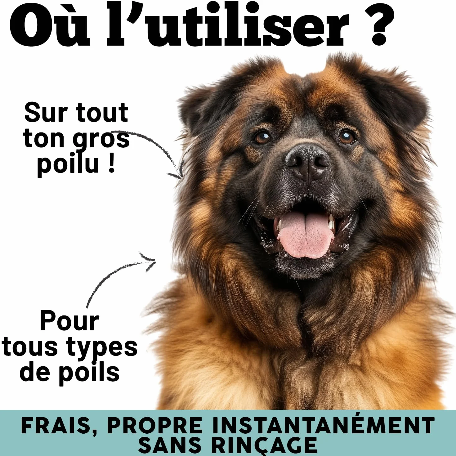MyPetPrime Shampooing Sec en Gel pour Chiens | sans Rinçage | Anti-Odeur | Dermatologique | Hygiénique, Anti-Démangeaisons | avec Huile de Graines de Neem | pour Toutes Races | Fabriqué en Italie