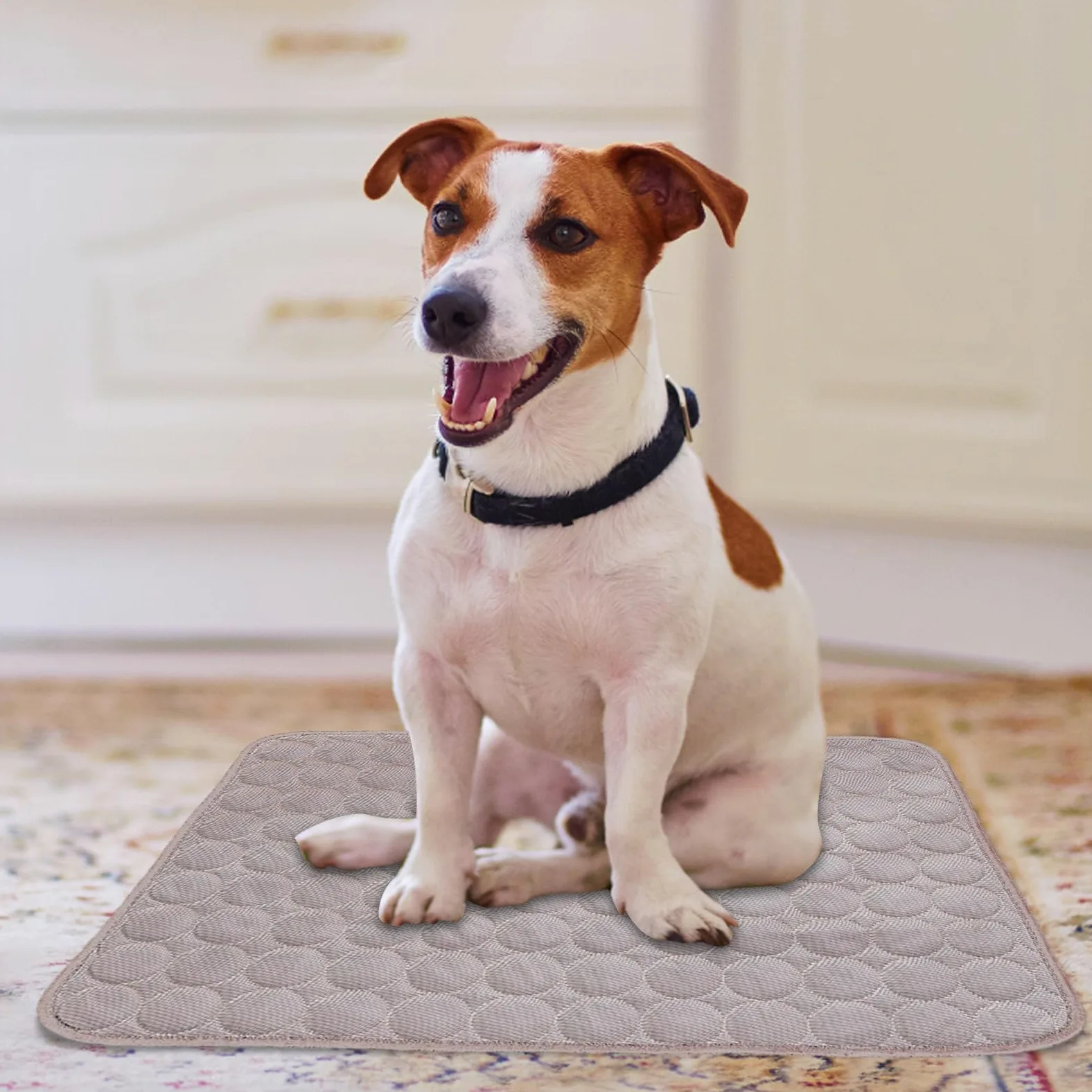 Générique Tapis Rafraichissant Chien Chat, Tapis Refrigerant pour Chien Coussin Rafraichissant pour Chiens Matelas Frais Chats ete Refroidissement Chat
