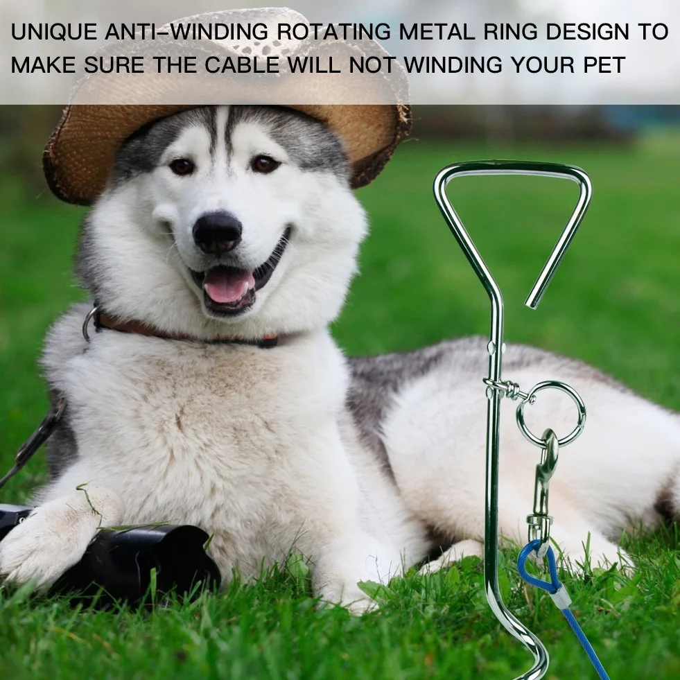 Câble d'attache pour chiens 5m Bleu pour petit moyen taille