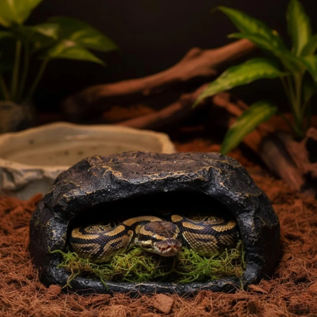 Zoo Med Mousse pour Terrarium 1 L Taille M