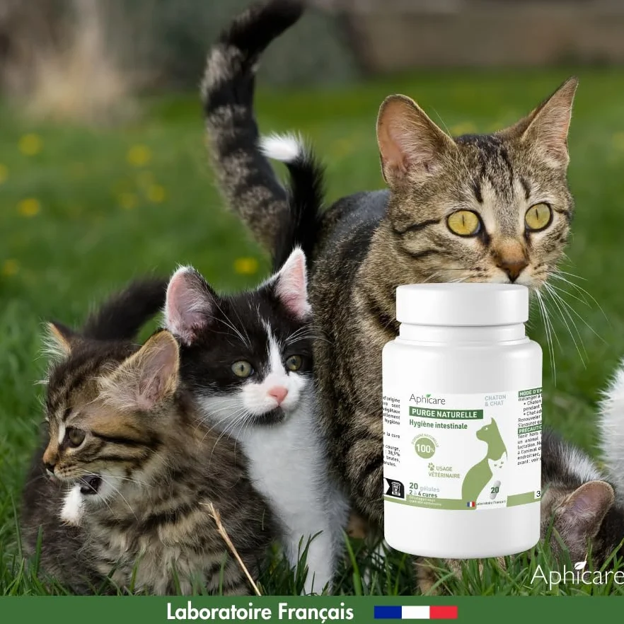 Complément Alimentaire levure de bière 3 extraits végétaux 20 gélules Hygiène intestinale Chat Chaton Fabriqué France