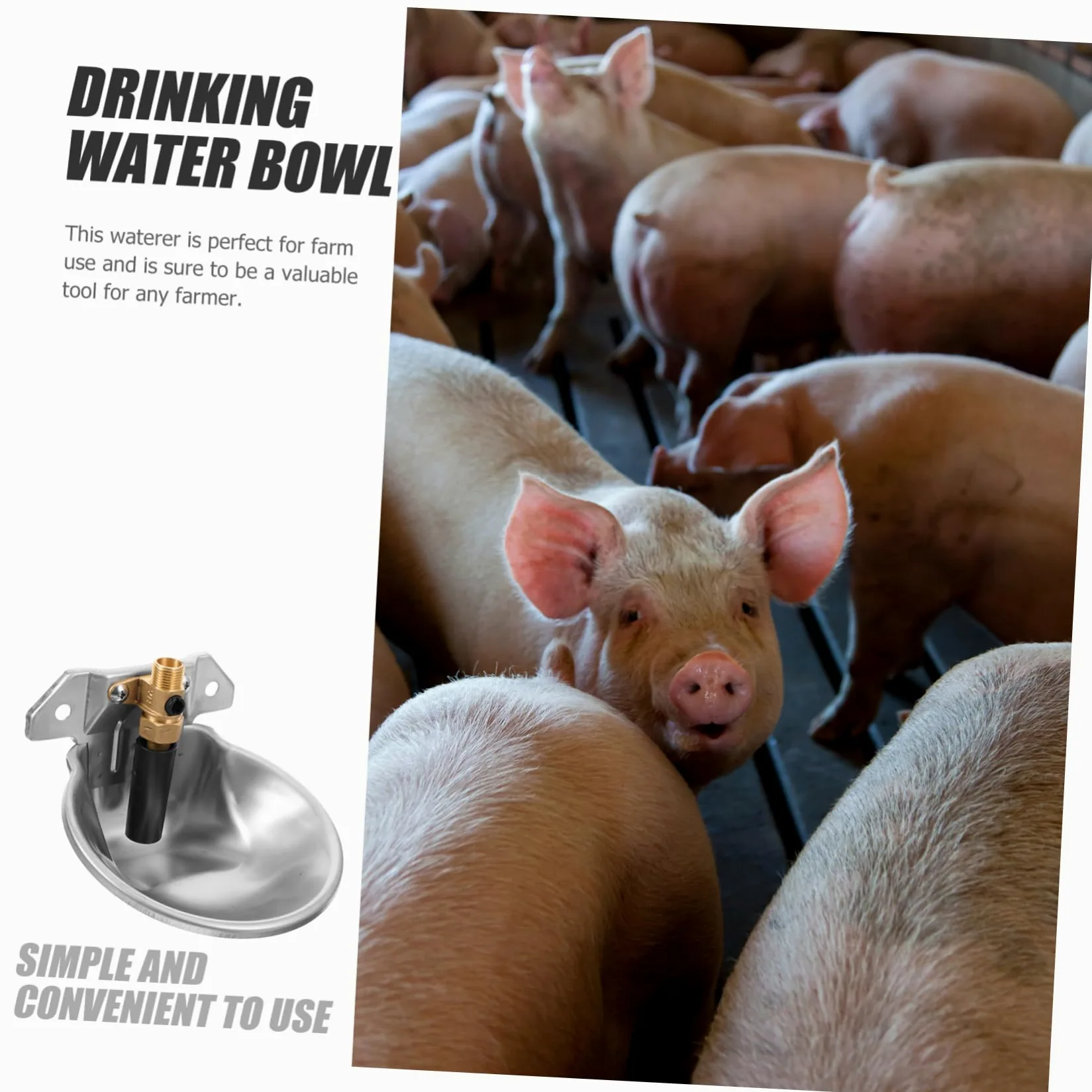 Abreuvoir Automatique Argenté en Bétail Acier Inoxydable | Grand Volume, Bords Arrondis, Usage Ferme et Farmhouse, Alimentation en Eau Continue, Finition sans Rouille
