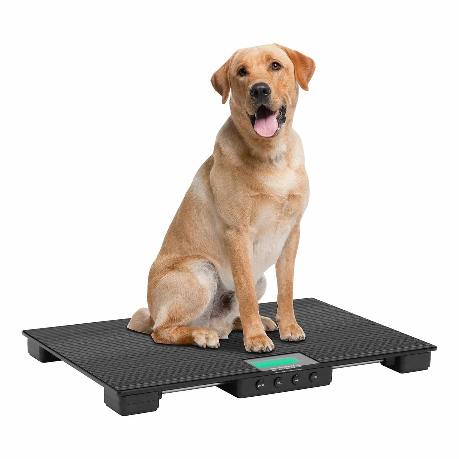Steinberg Systems SBS-PS-30 Pèse-animaux 30 kg/10 g avec tapis antidérapant LCD