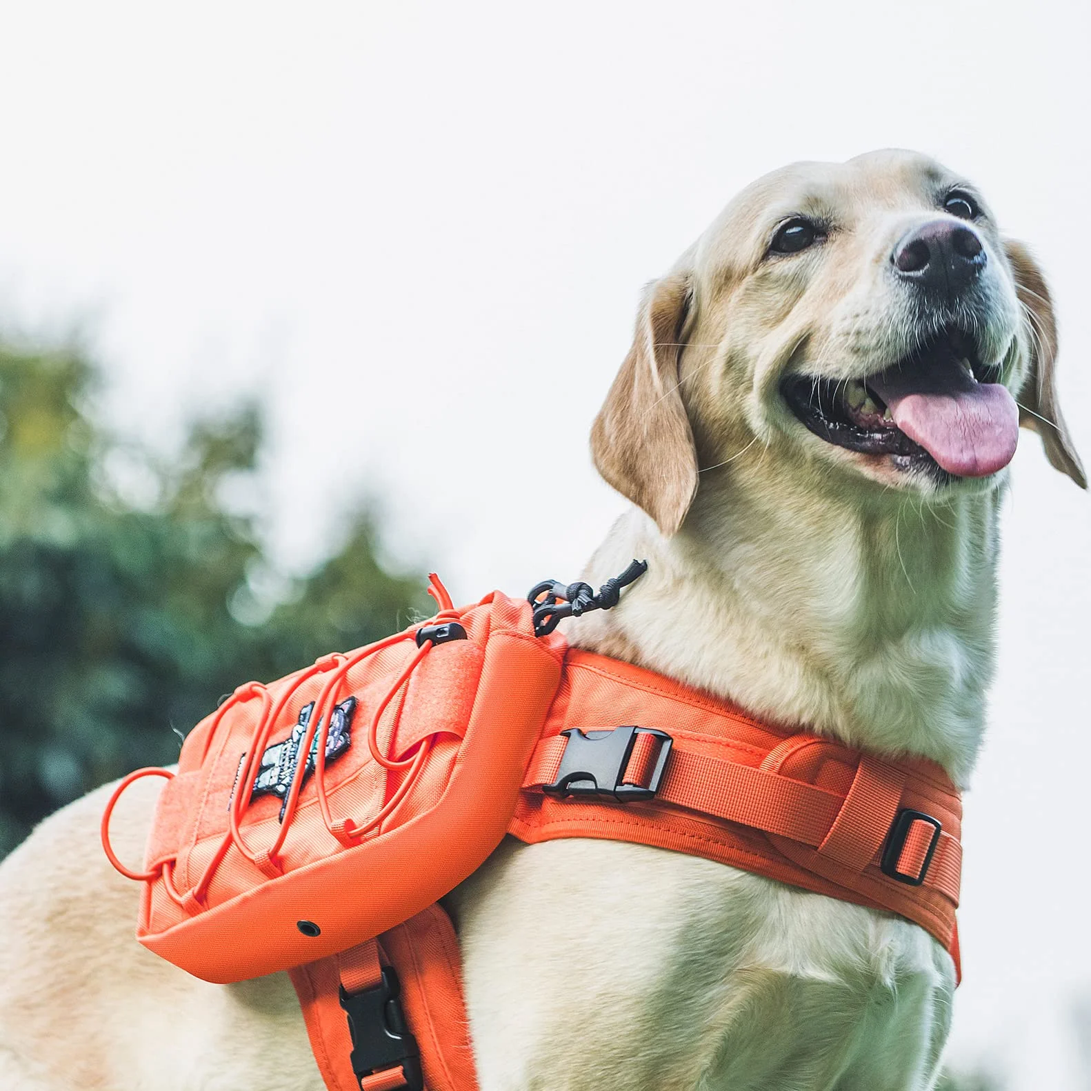 OneTigris Mammoth Sac à dos pour chien version 2.0 L orange
