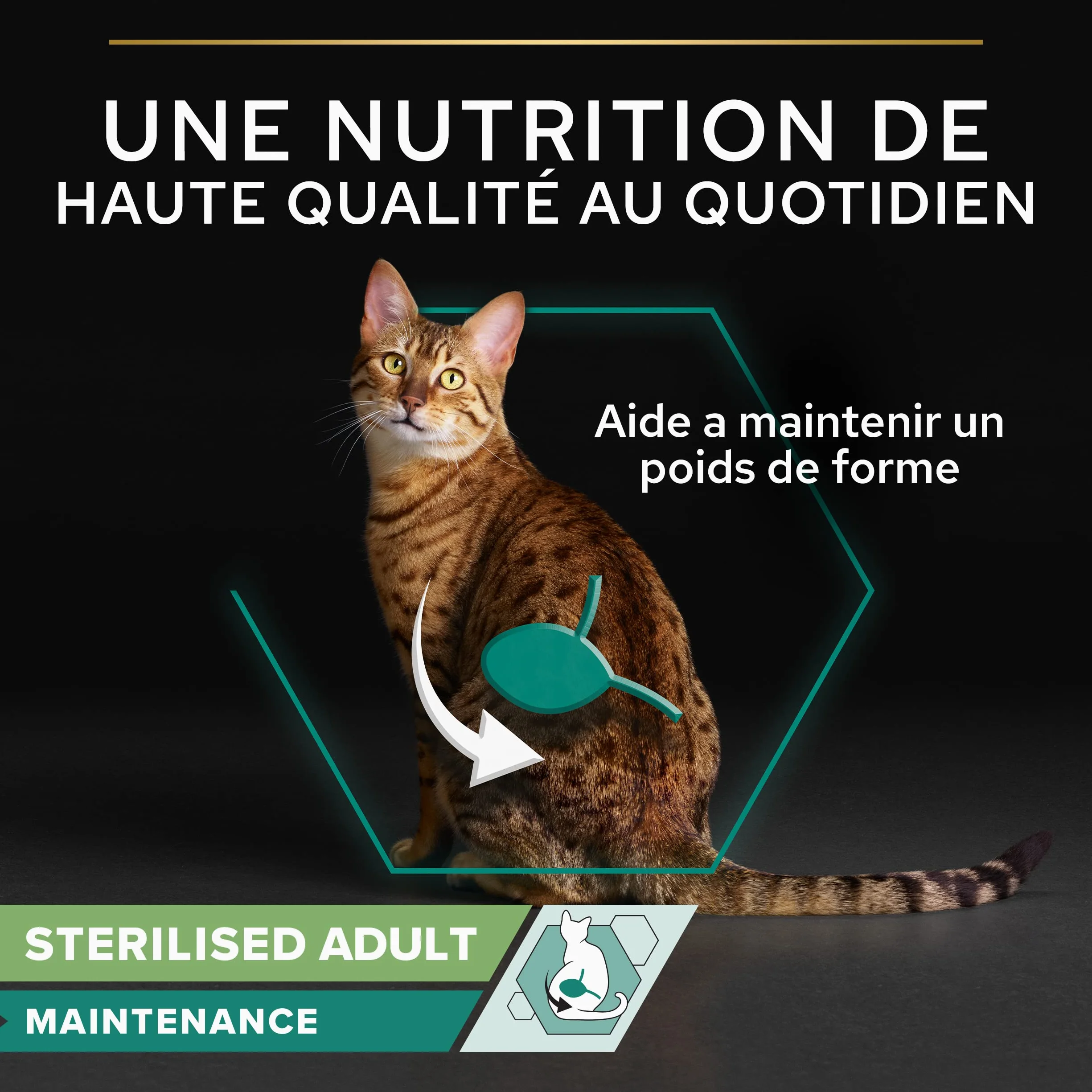 PRO PLAN Adult STERILISED MAINTENANCE Boeuf Sauce 10x85g