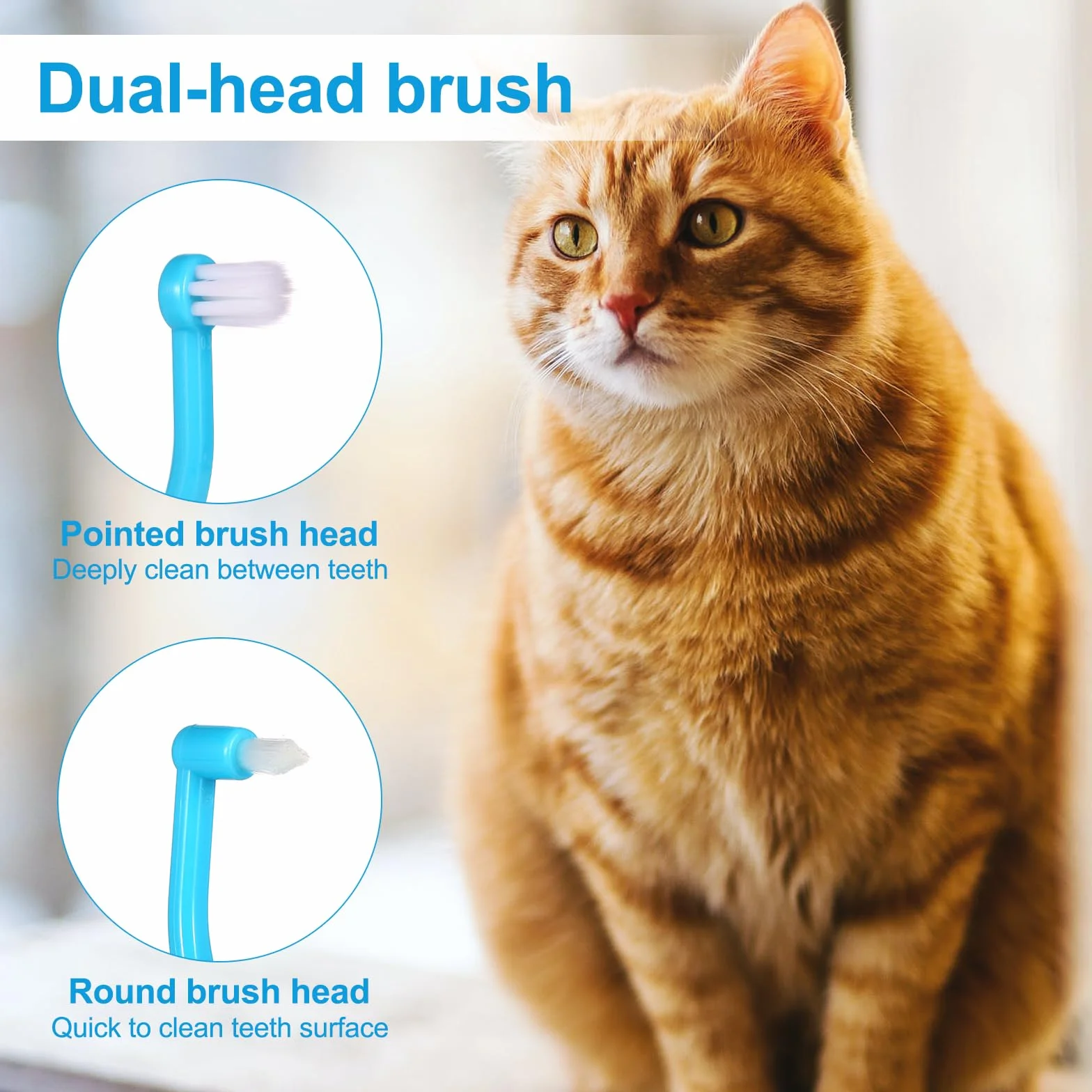Brosse à Dents pour Chat Double Face 2pcs avec Tête Micro-Brosse et Poignée Incurvée Soins Dentaires