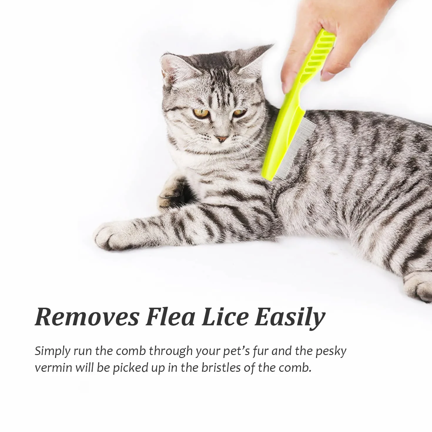 Peigne à Poux pour Chats et Chiens - Outil de Toilettage Anti Puces pour Nettoyer Tangles et Saleté - Bleu