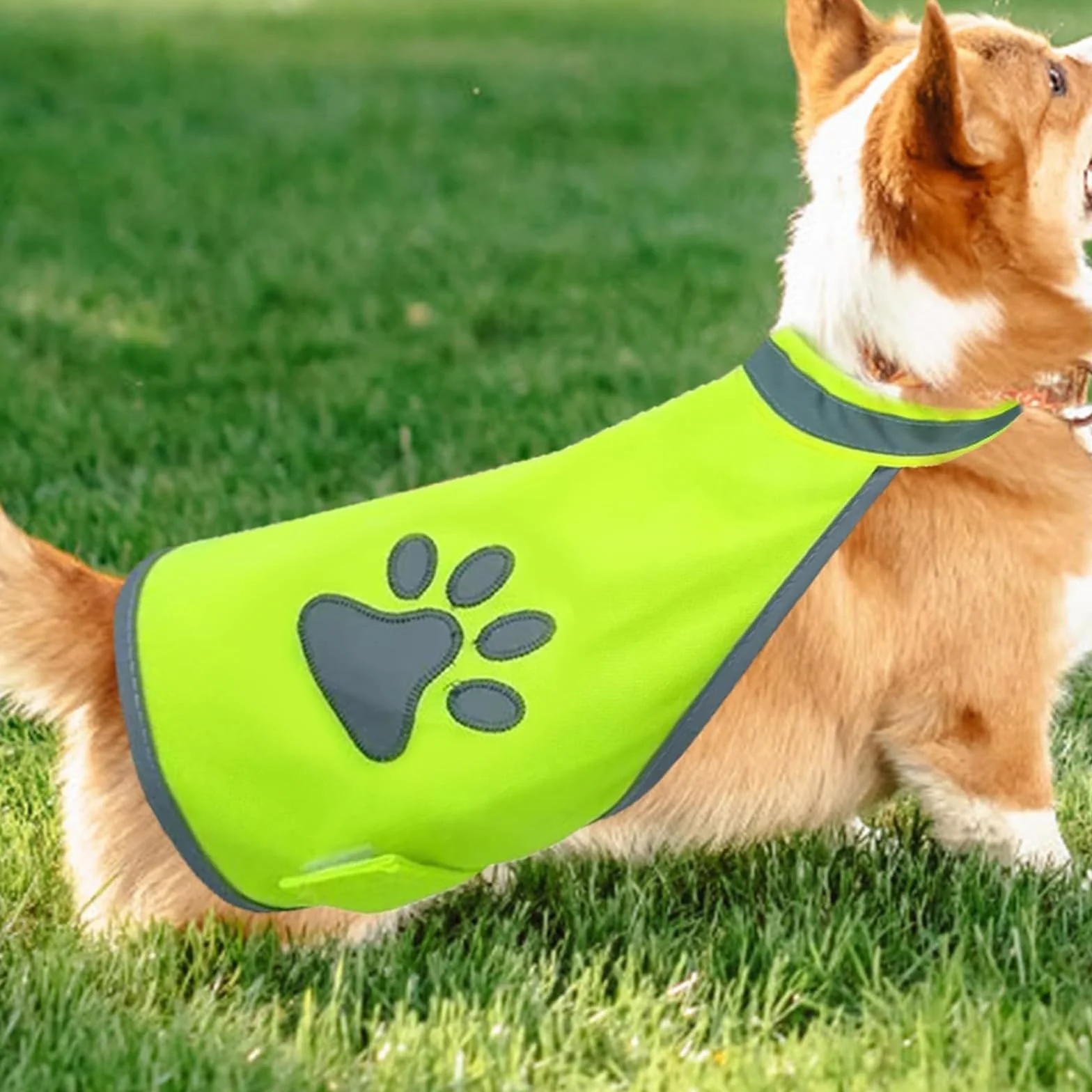 Haute Visibilité Veste Réfléchissante Fluorescente Gilet Chien Taille L pour Nuit Extérieur