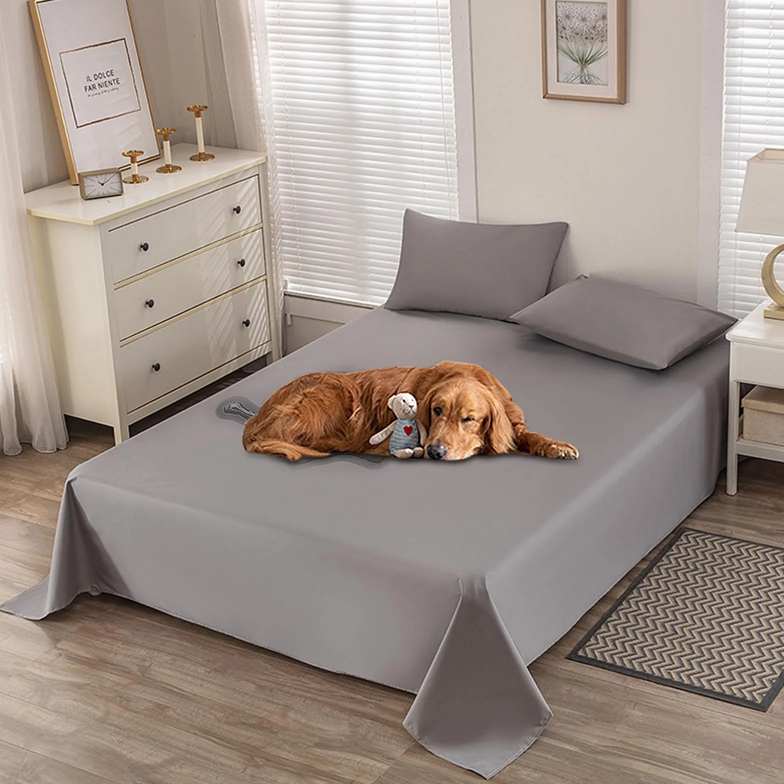 Couvre-lit Imperméable Respirant Microfibre Brossée TPU Double Jeté Résistant Rayures Lavable Protection Chien Chat Enfants 230 x 250