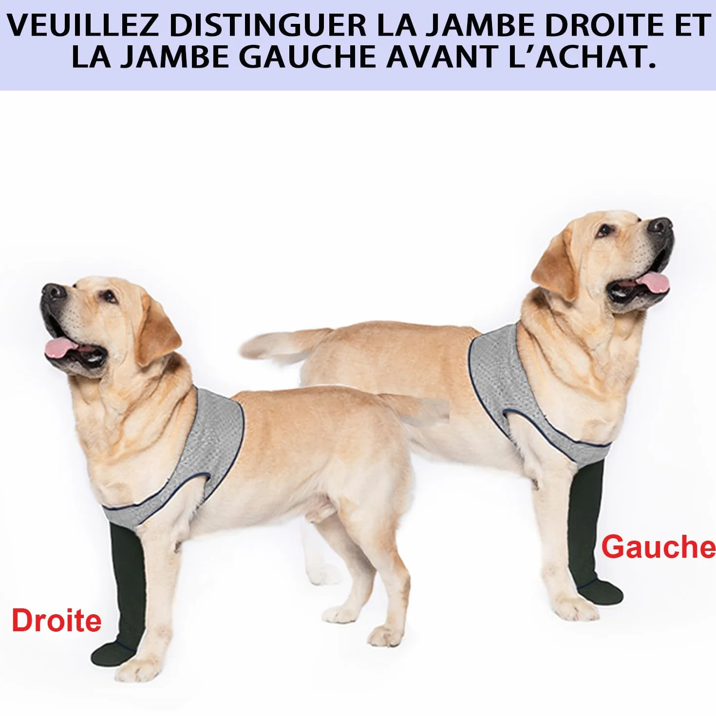 COODEO Chaussettes pour Chien, Bottes de Soin & Protecteurs de Pattes Anti-dérapants, Chaussures étanches (Gris, 3XL_Gauche)