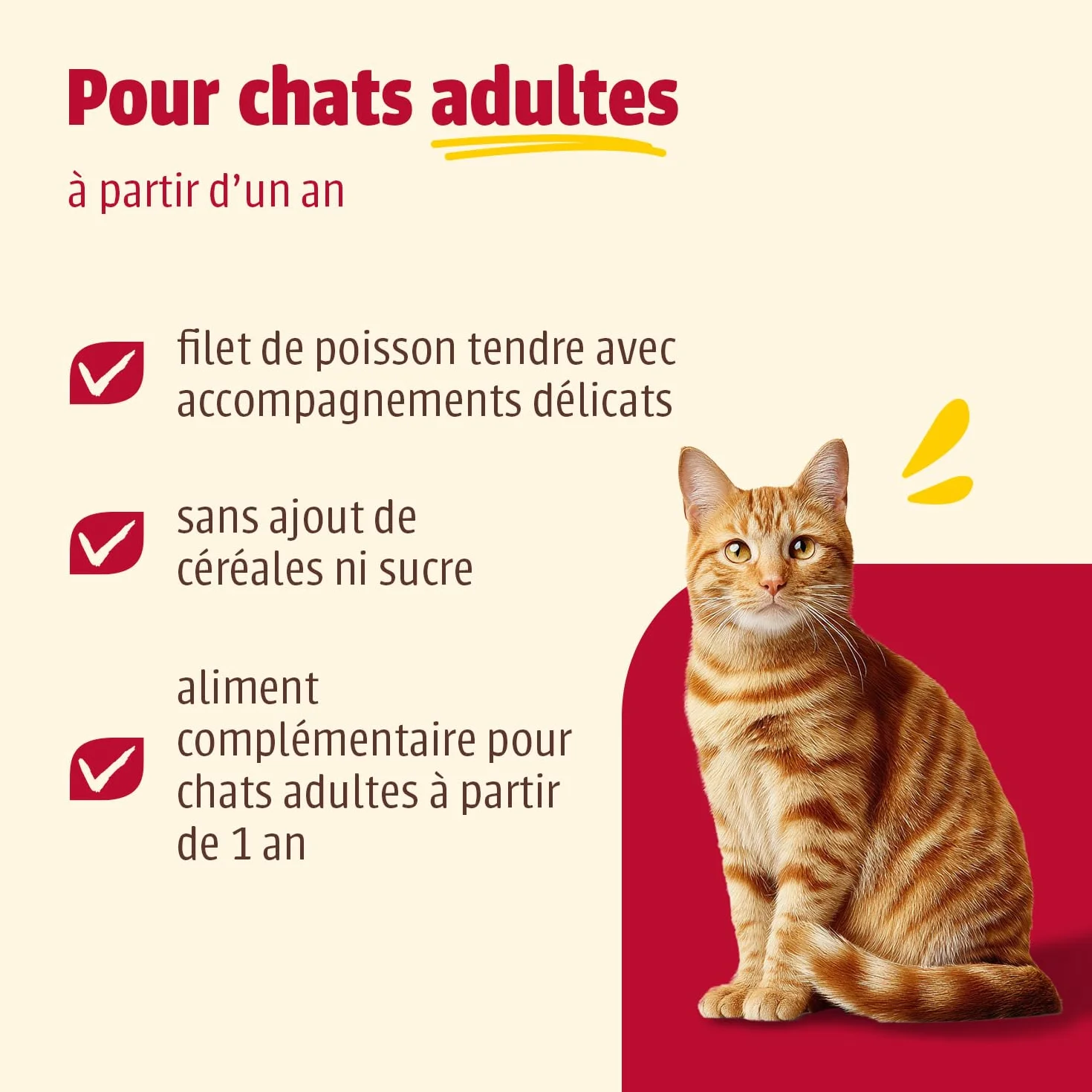 Carny Ocean - Nourriture Humide pour Chats Adultes - Variété Marine n° 2 (12 x 80 g) - Nourriture Humide pour Chats Adultes - avec Filet de Poisson délicat, sans céréales ni Sucre