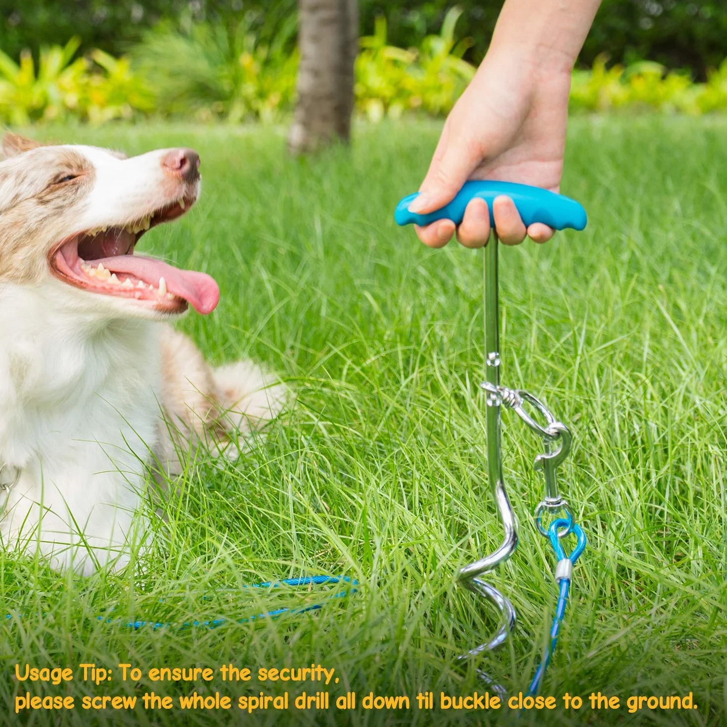 Piquet pour chien et câble d'attache robuste en spirale 40,6 cm 10 m