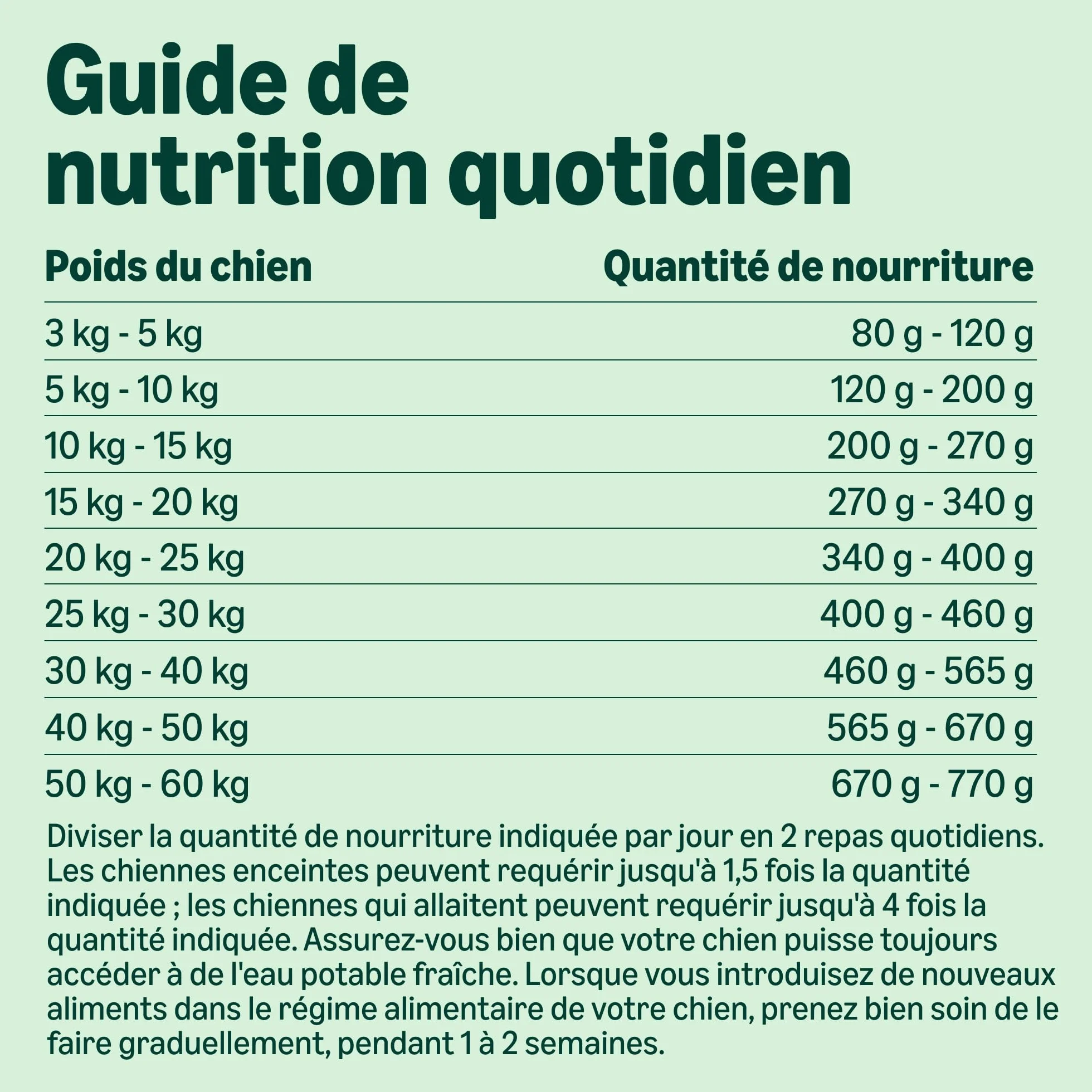 Amazon Complete Croquettes complètes pour chiens adultes, riche en poulet et riz, 5 kg