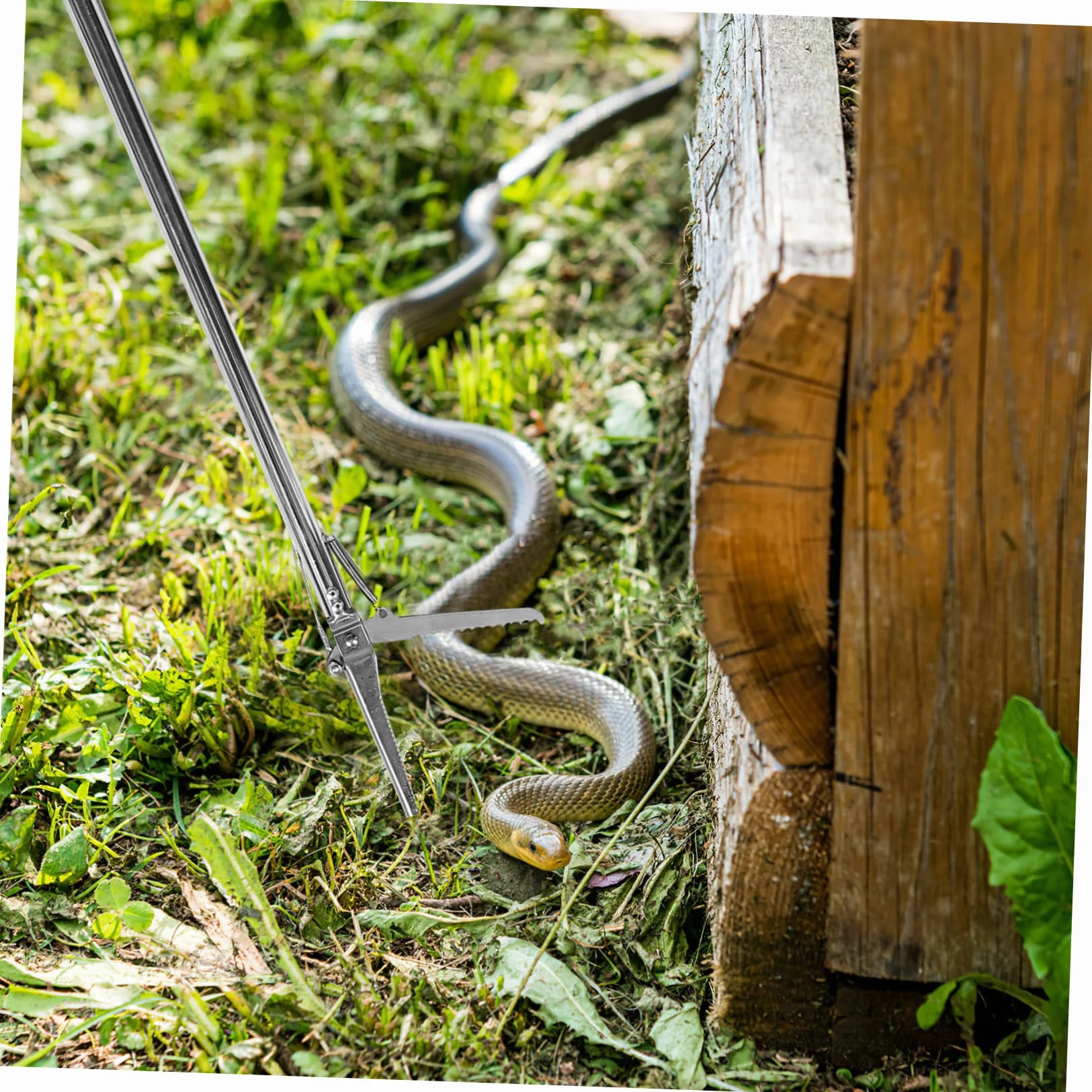 Pinces à Serpents en Acier Inoxydable Antidérapantes Pliables Outil Multifonctionnel pour Jardin