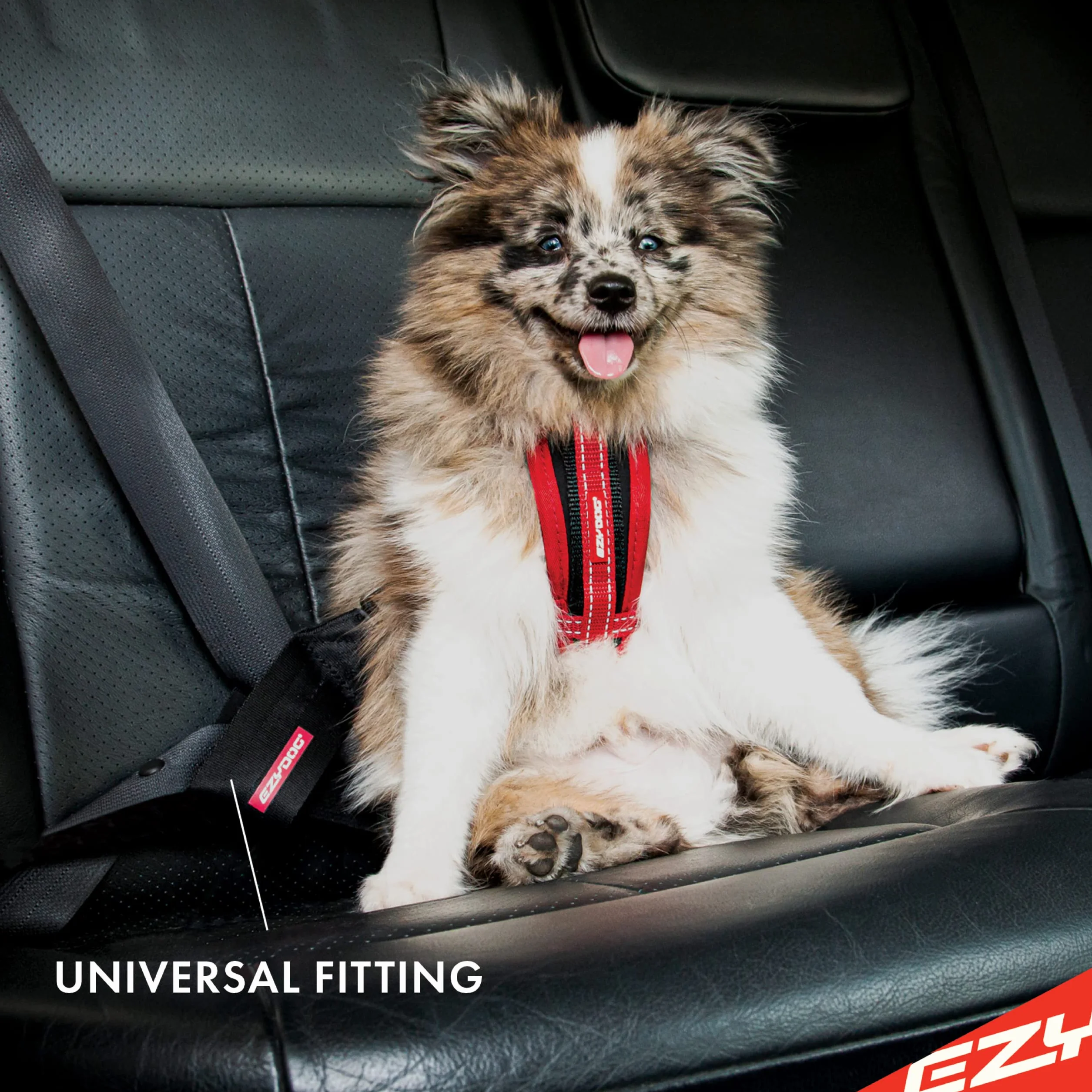 EzyDog Ceinture Chien Voiture – Attache Universelle pour Harnais, Ceinture de sécurité en Nylon Robuste pour Chien en Voiture (Noir)