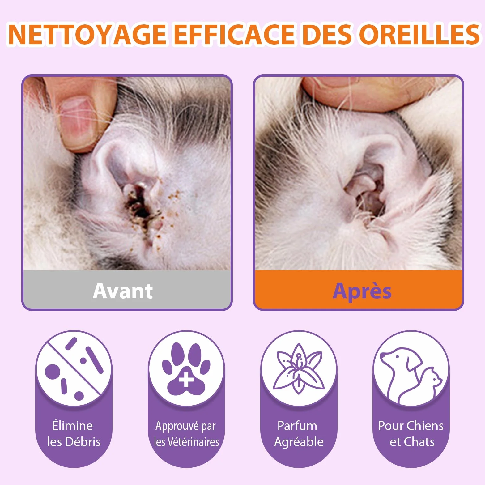 Pjordo Nettoyant pour oreilles de chien avec aloe vera et hamamélis - Lingettes et solution nettoyante