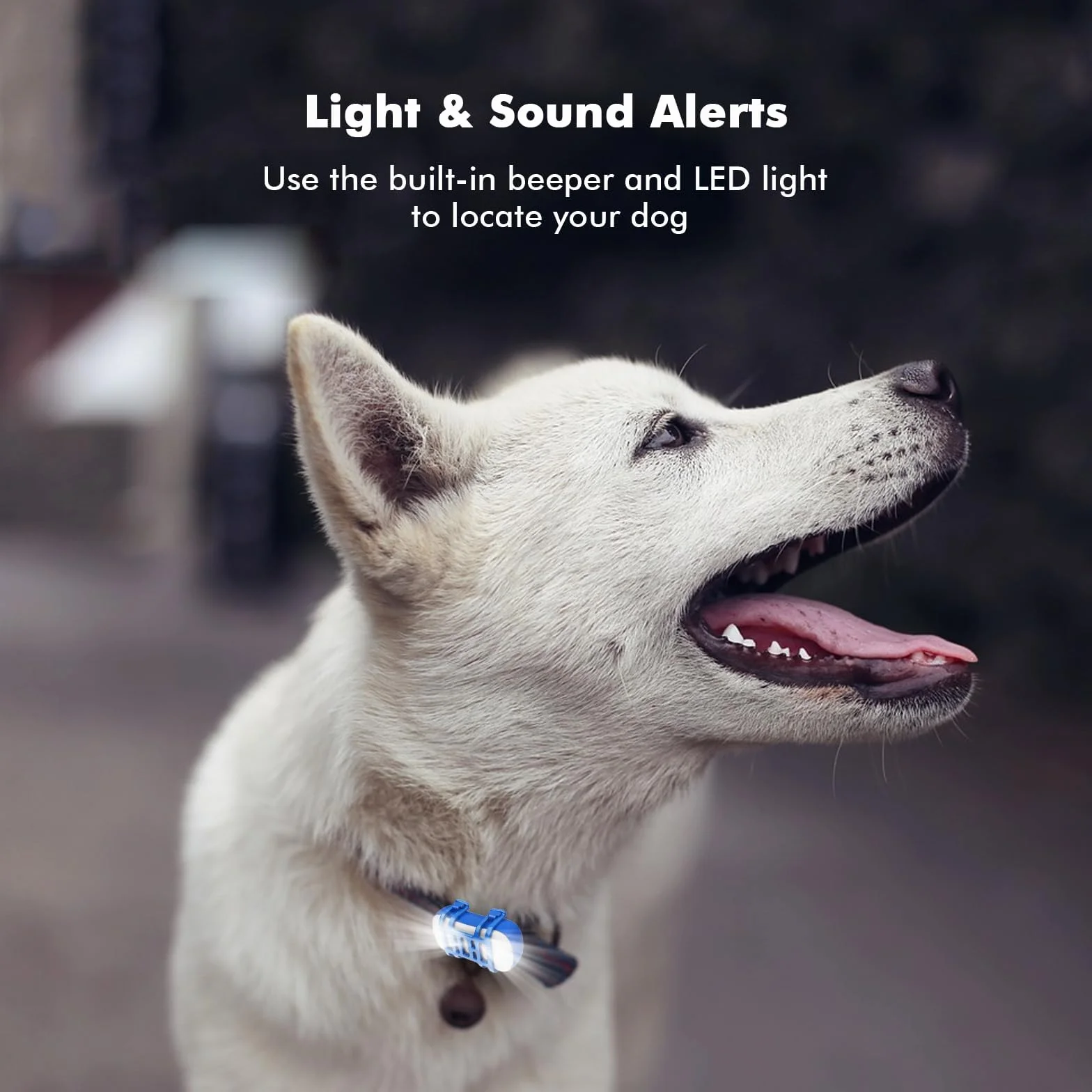Collier GPS Chien Traceur GPS IP67 Géolocalisation Animaux
