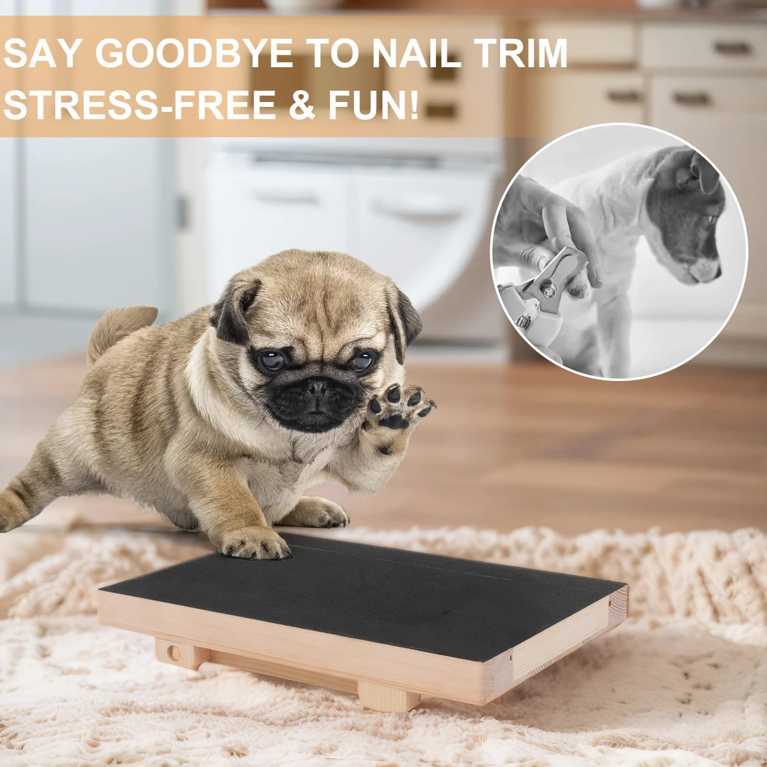 LiveGo Tampon à griffes pour chien, équipé de papier de verre, planche d'entretien sans stress, lime à ongles pour chien avec compartiment à collation, convient pour les chiens de petite et moyenne