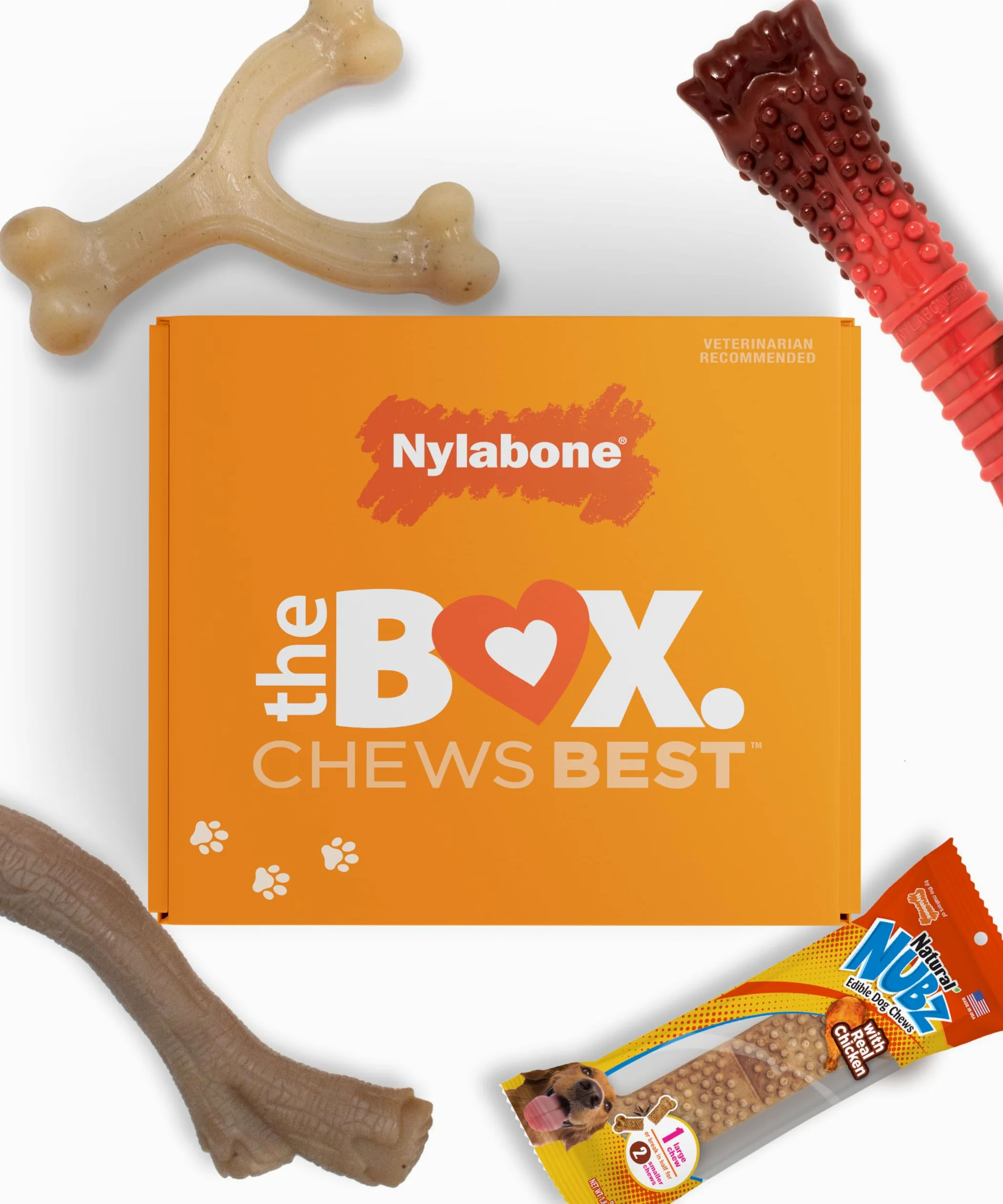 Nylabone Coffret Cadeau de Vacances pour Chiens de Grande Taille, Comprend 3 Jouets à mâcher Solides et 1 friandise pour Chien, Cadeaux pour Chiens, Grand/géant (4 pièces)
