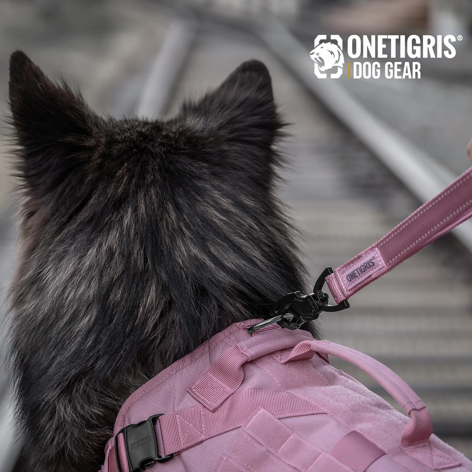 OneTigris Bolt Laisse courte pour chien 30 cm, denture de tigre en métal, rembourrage doux, réfléchissante, nylon, rose