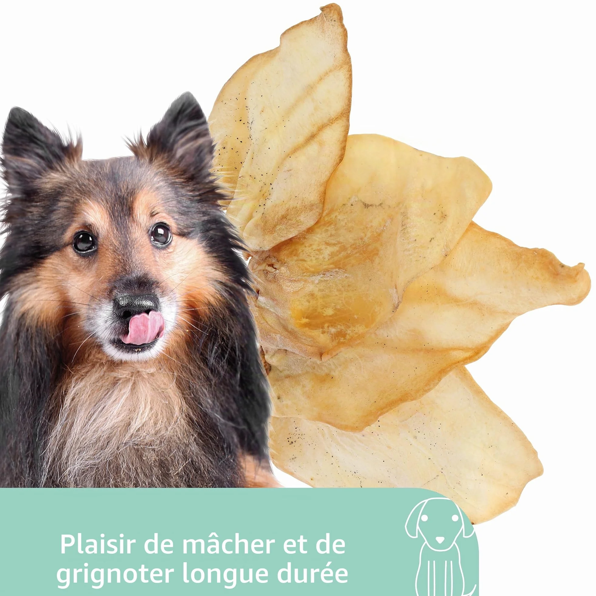 Kerbl Pet Oreilles de bœuf, friandises pour Chiens, 20 sachets, 380g, à mâcher Naturel, pour Chiens de Toutes Races, Faibles en Gras et sans Odeur