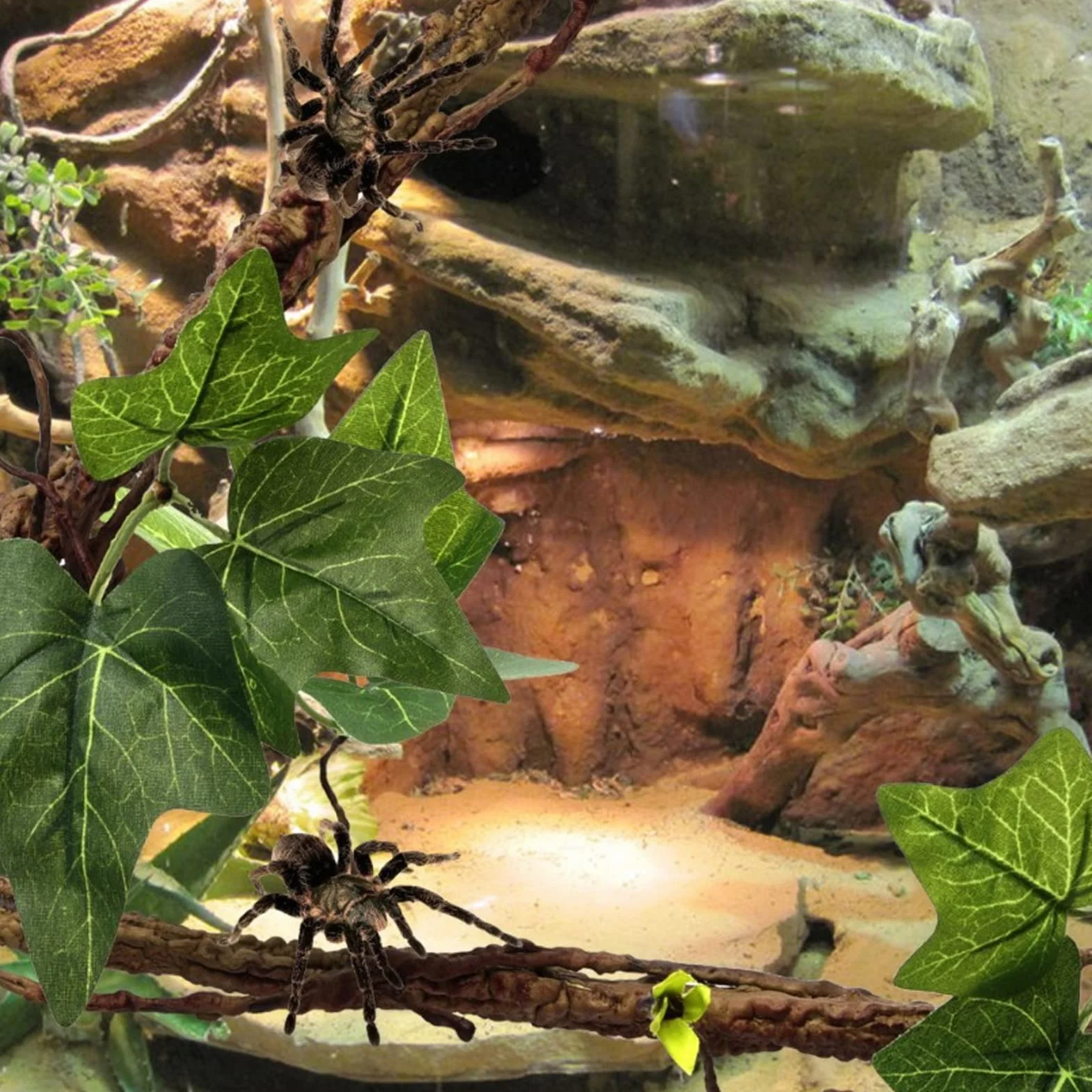 Branches de Reptiles, Vignes de Reptiles avec Ventouses, Branche d'angle de Reptile, Décoration de Plantes de Terrarium, Plantes de Reptiles pour Amphibiens, Lézards, Serpent,