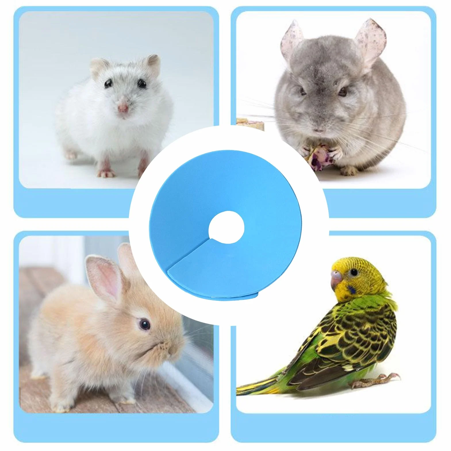 Collier Cervical pour Hamster - Collier Cervical Doux de Récupération pour Chat | Accessoire de Cou Ajustable pour Protection Voyage Prévention Blessures Chat Lapin Perroquet Furet