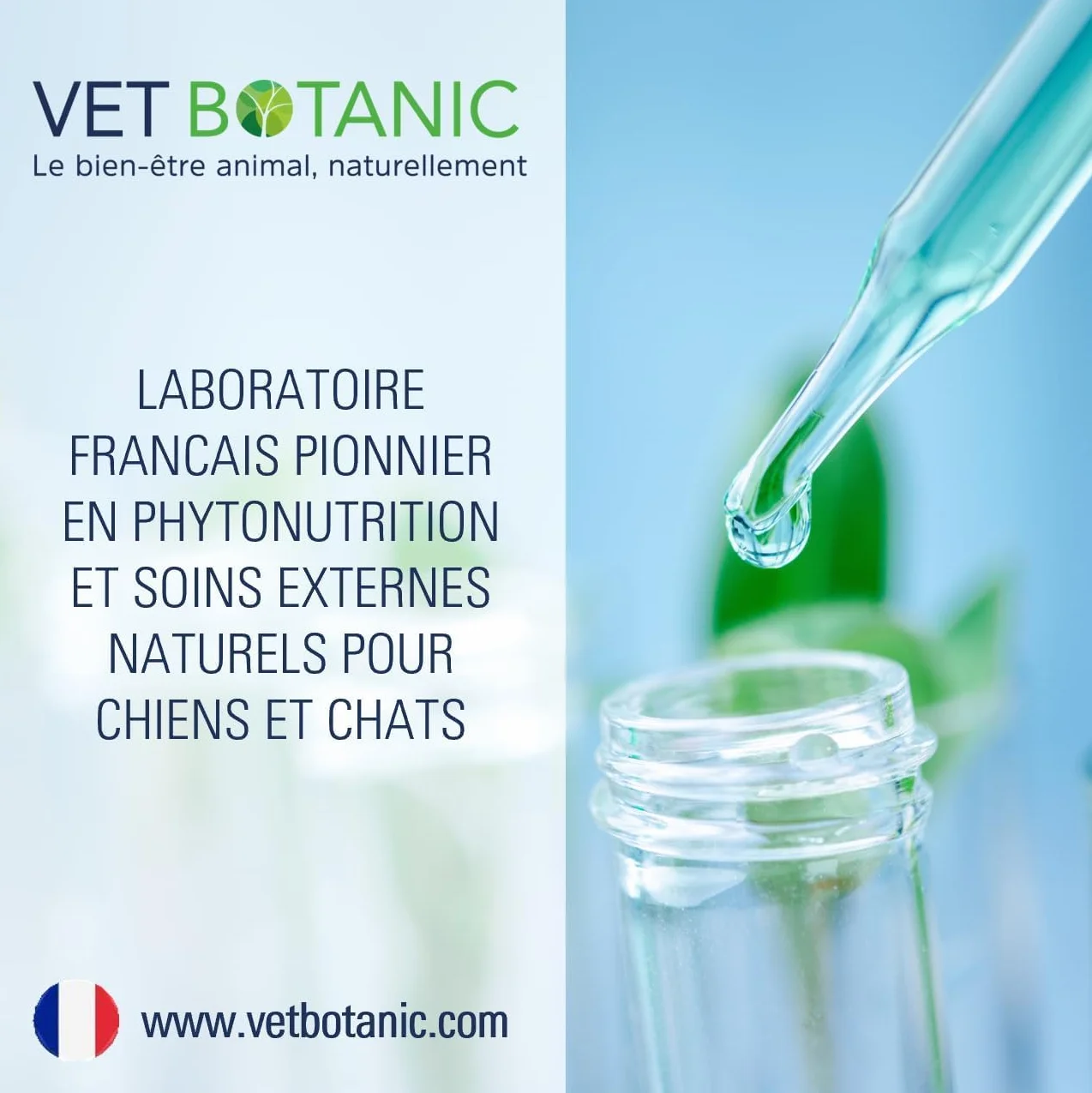 Terre de diatomée Chiens et Chats Parasites externes 100g